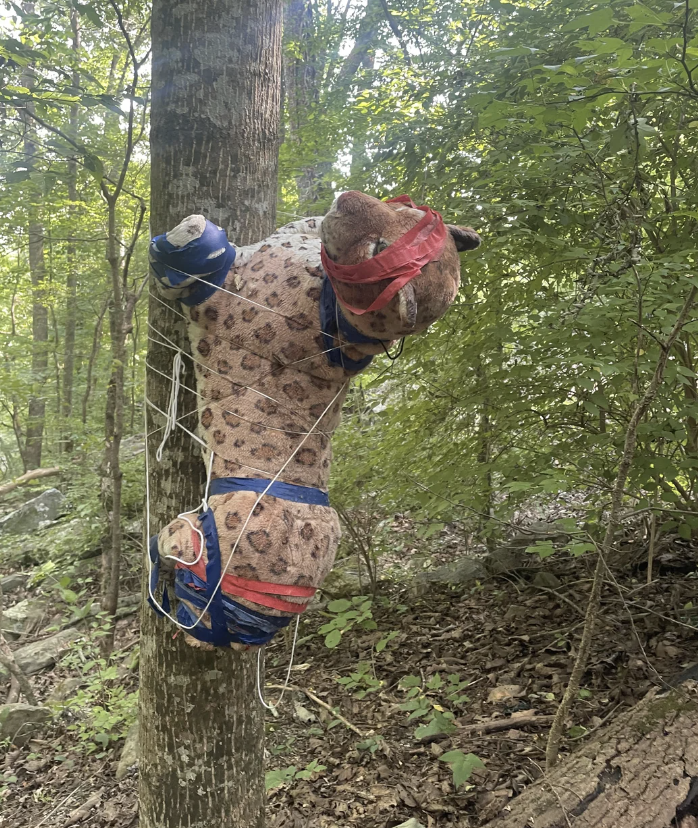 Stuffed leopard doll tied to a tree with string, in a dense forest. The doll has blue and red tape around its limbs and head