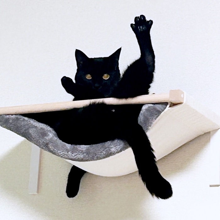 ハンモックの上で不思議なポーズのまま固まるうにくん