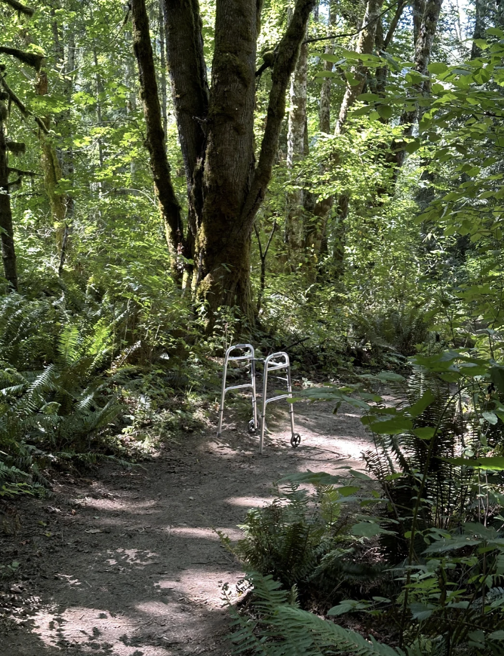 A walker is placed on a dirt path in a lush green forest