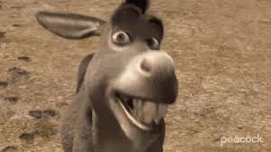 Donkey from Shrek smiling widely in a close-up shot