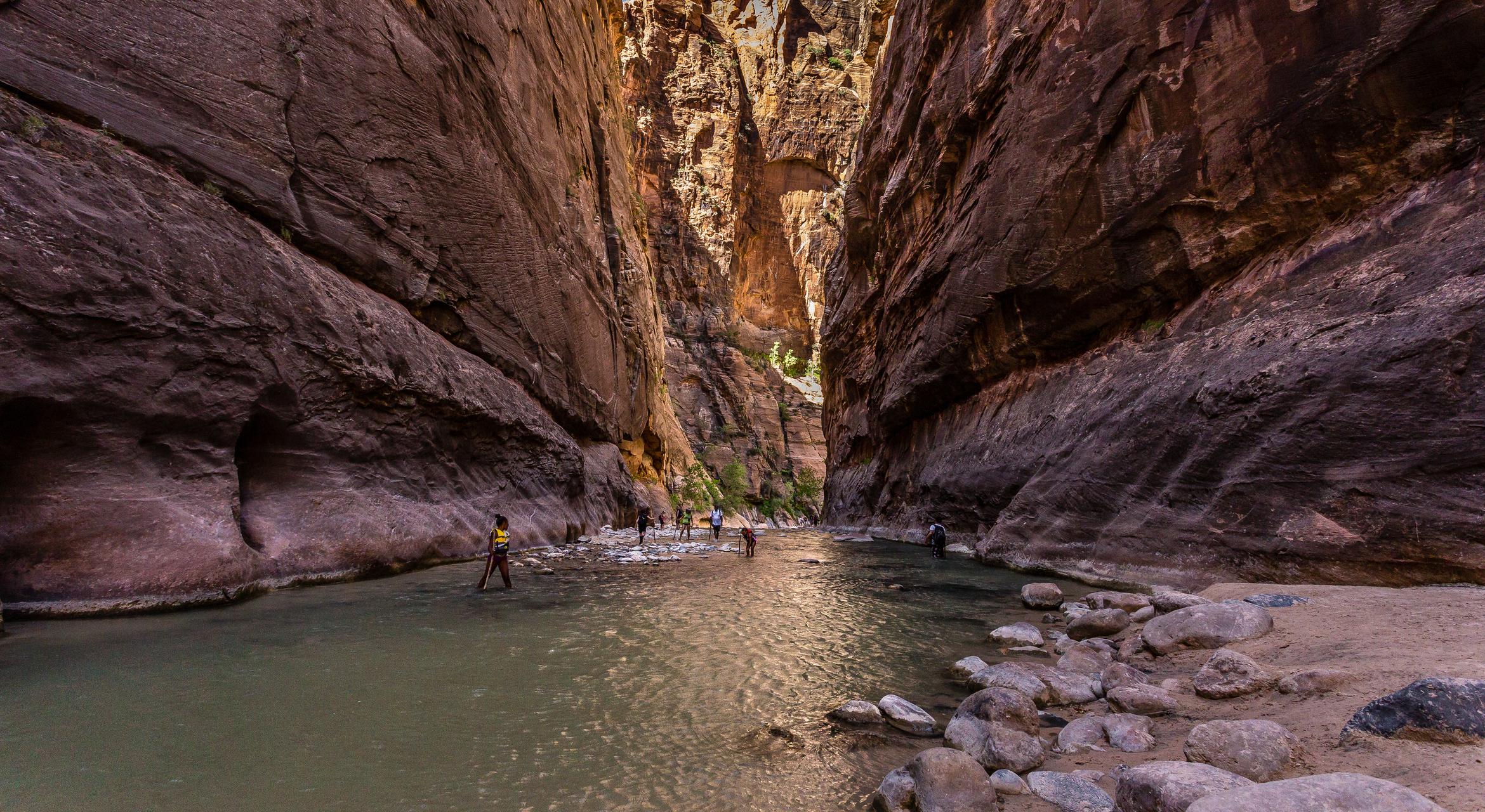 People wade through a narrow river between towering canyon walls, possibly in Zion National Park's Narrows. Rocky banks border the river