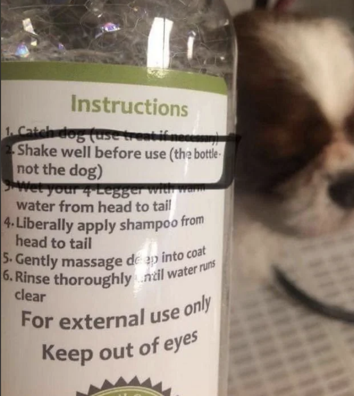 Instructions on how to use a dog shampoo: Catch dog. Shake bottle. Wet dog. Apply shampoo. Massage and rinse. External use only; avoid eyes. Small dog in background