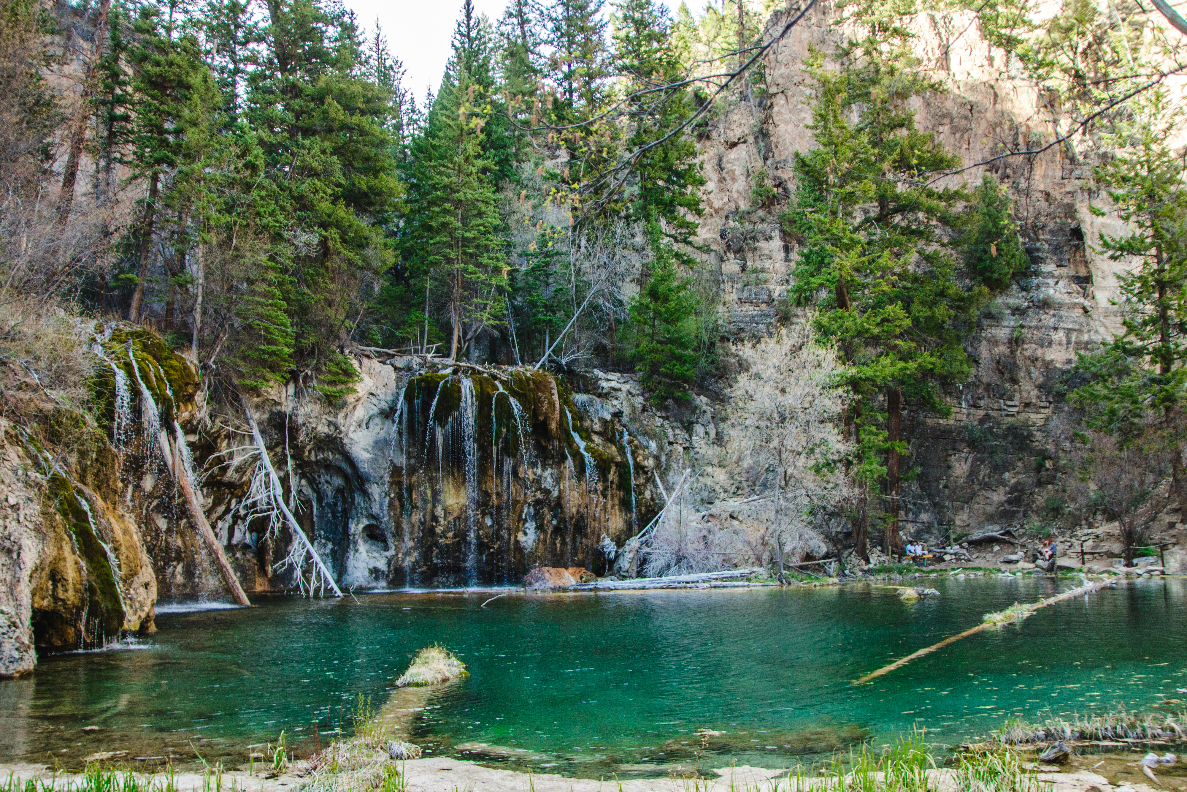 A serene waterfall flows into a clear, turquoise pool surrounded by lush trees and rocky cliffs in a peaceful forest setting