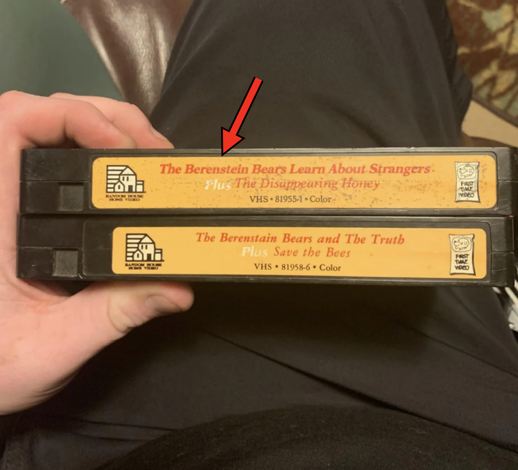 Two VHS tapes of The Berenstain Bears, titled "The Berenstain Bears Learn About Strangers" and "The Berenstain Bears and The Truth."