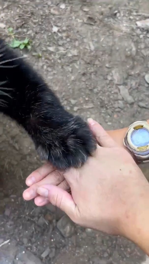 手を乗せるネイ君 / 横浜・八景島シーパラダイスの公式Xより