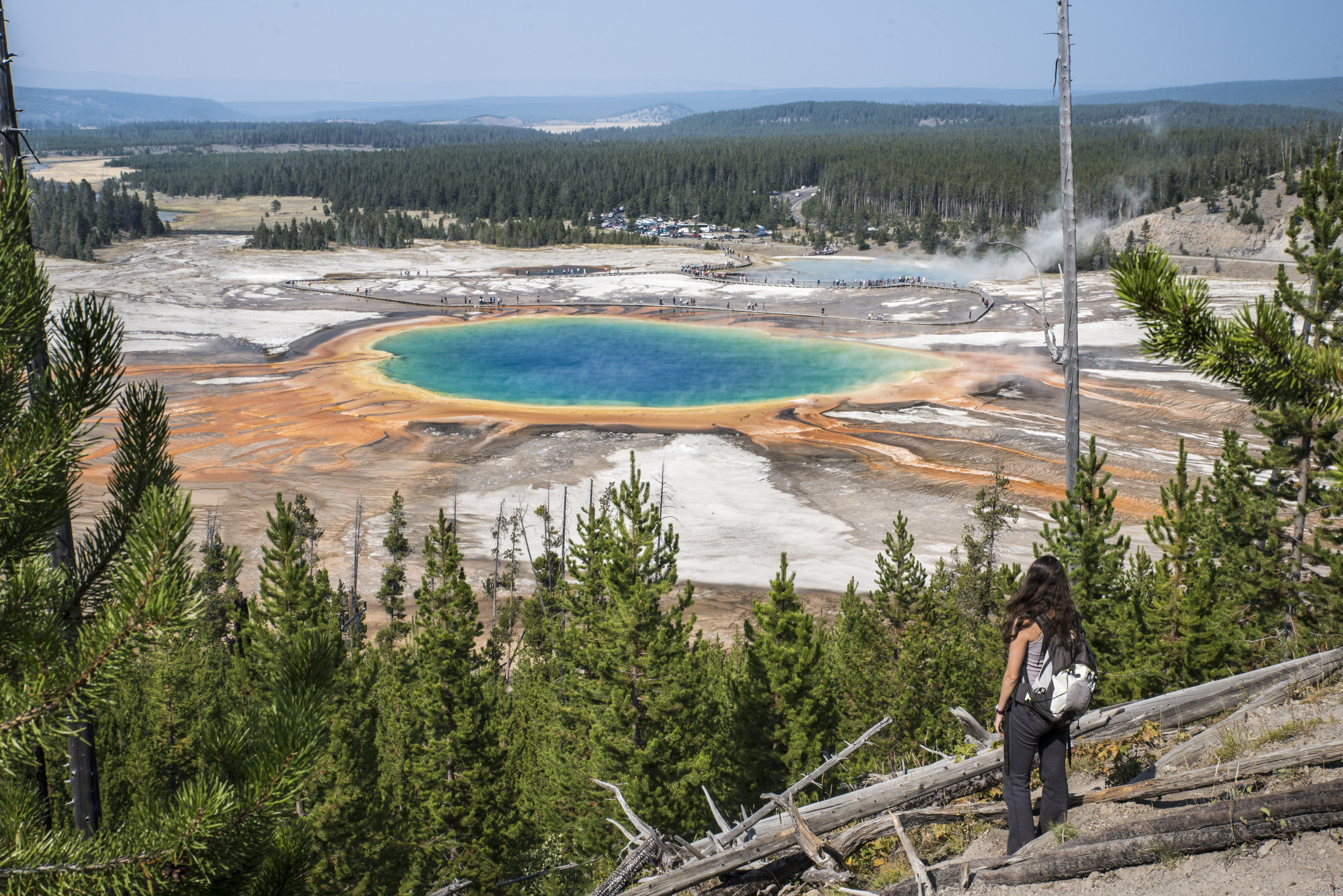 A woman stands observing the Grand Prismatic Spring in Yellowstone National Park, surrounded by pine trees with the vibrant hot spring spreading out in the distance