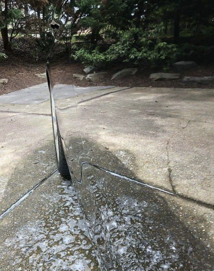 Reflection of trees and pavement visible on shiny, polished car surface parked in a driveway near bushes and trees