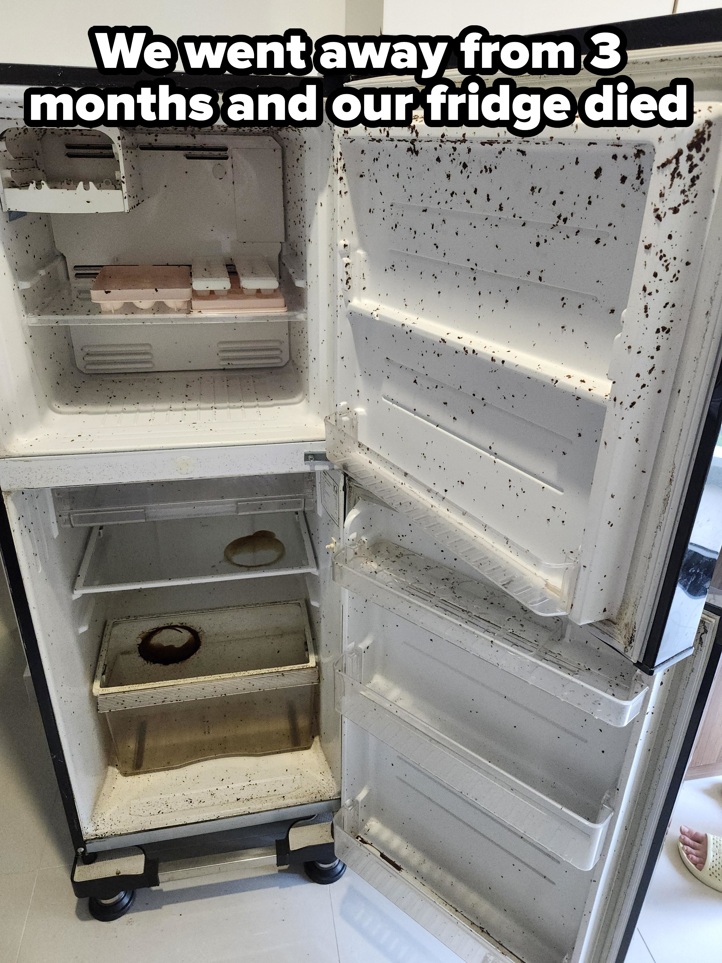 A dirty, partially empty refrigerator is shown with food remnants and mold stains