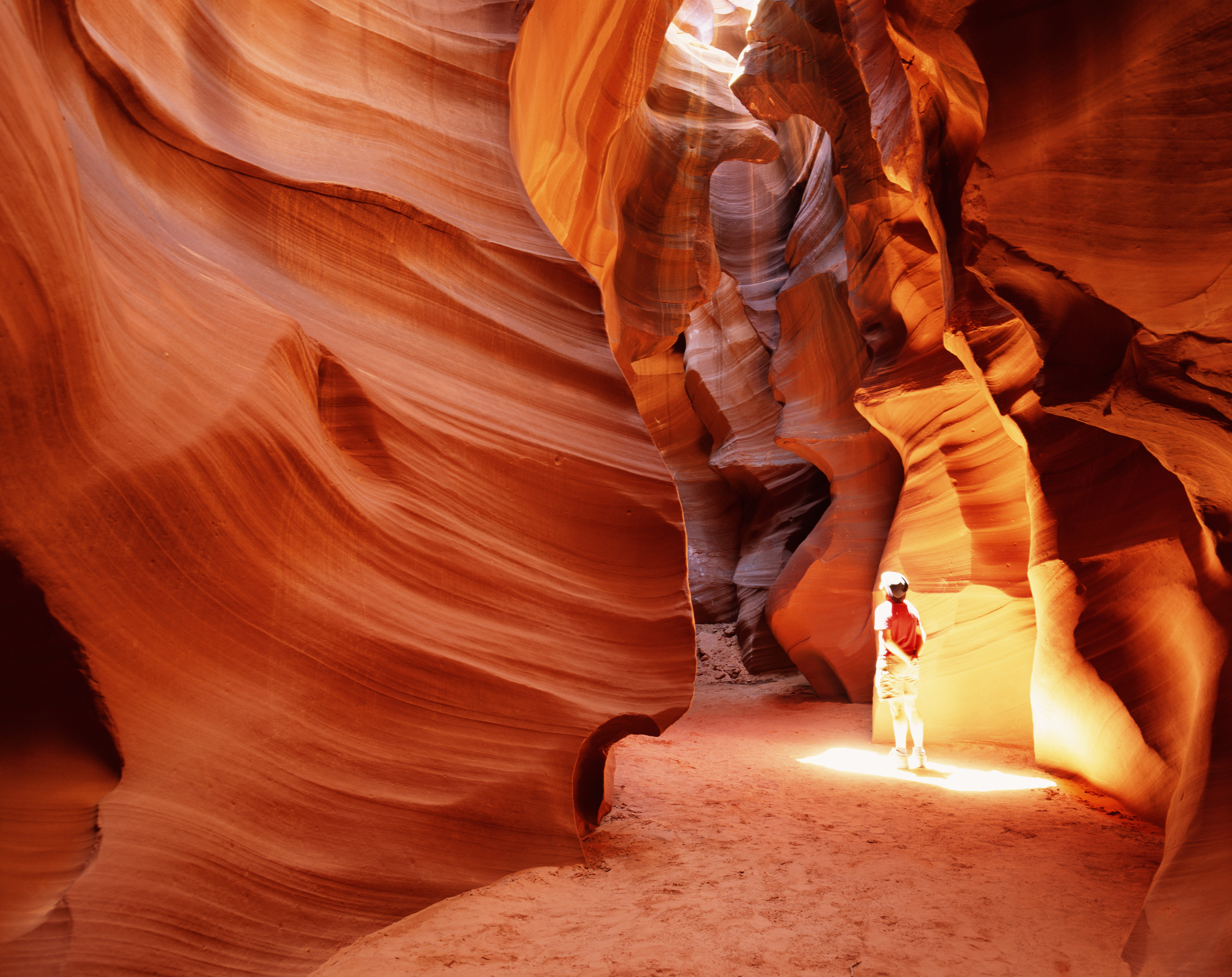 A person stands in a bright section of the curving, narrow sandstone walls of Antelope Canyon, taking in the stunning rock formations above