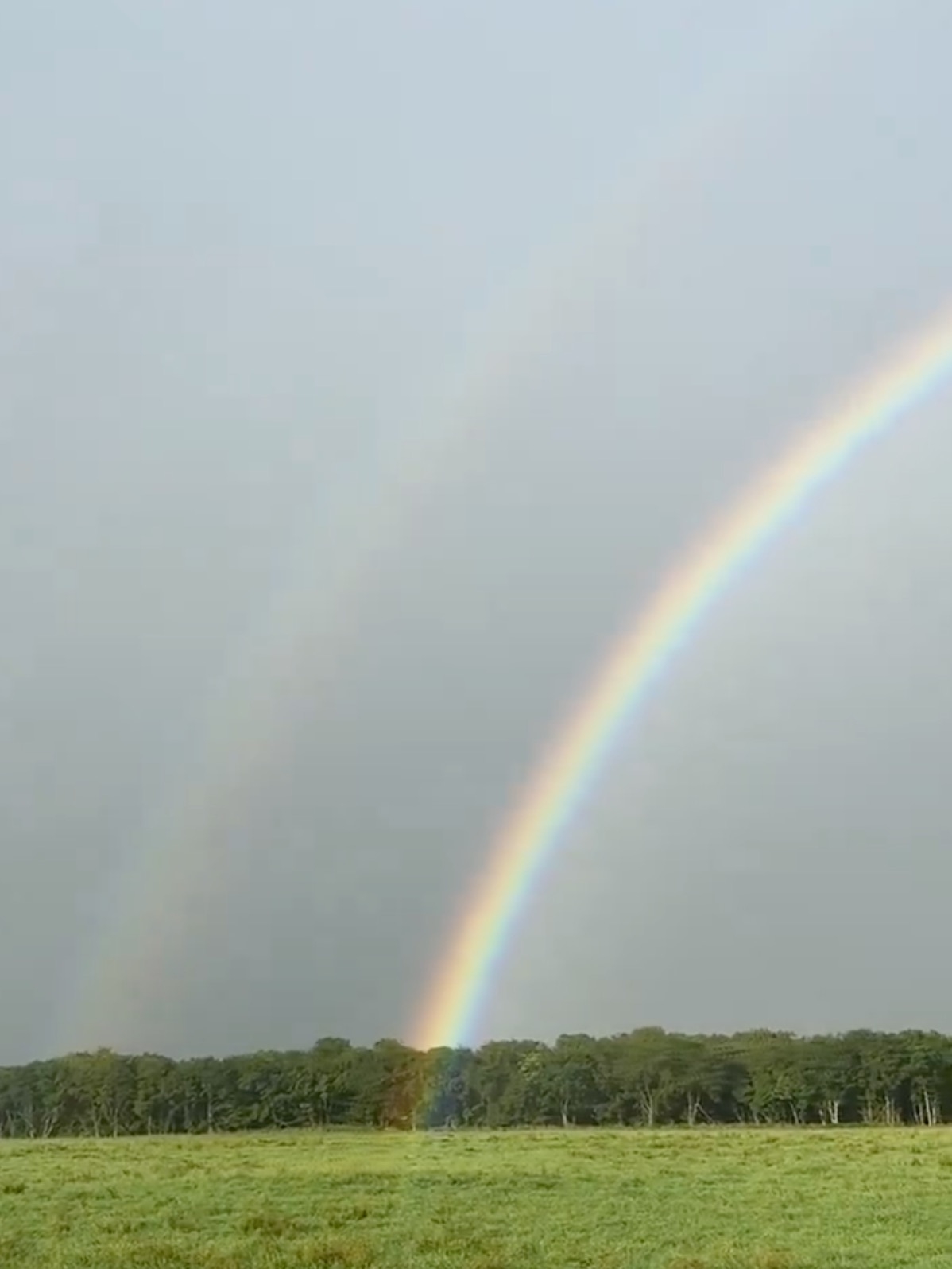 北海道標茶町で撮影された虹(中道智大さんの動画より)