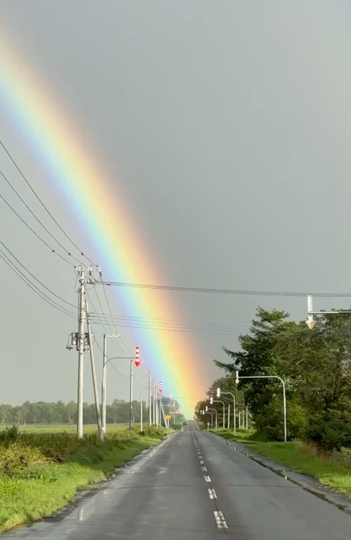 清純のタリスマン  ダブルレインボー sub-buzz-4401-1723801398-1.jpg