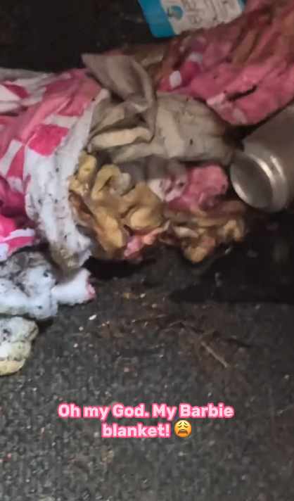A pile of dirty and torn items, including a pink patterned blanket, appears on the ground. The caption says "Oh my God. My Barbie blanket! ?"
