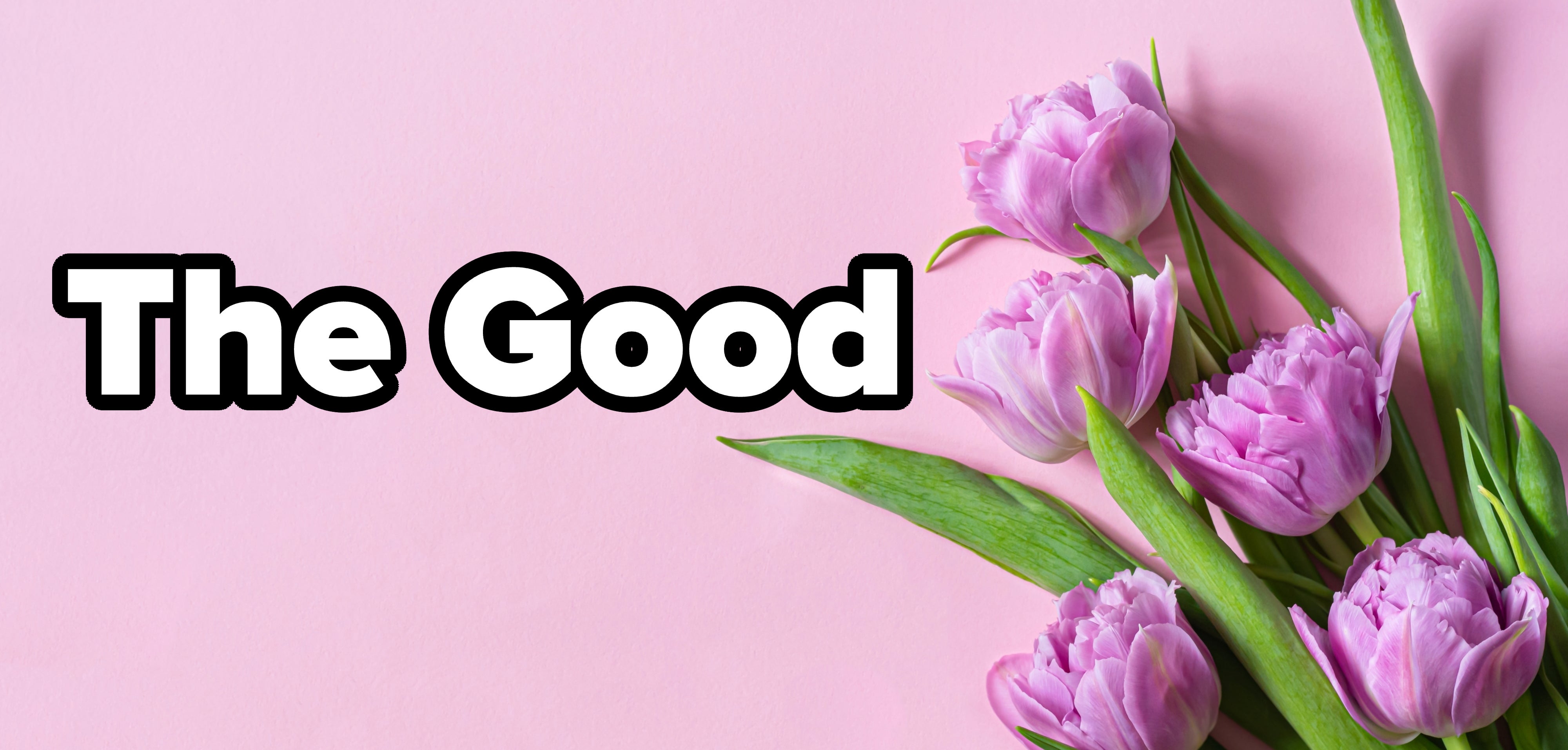 Pink tulips with green leaves are arranged on the right side of a plain background