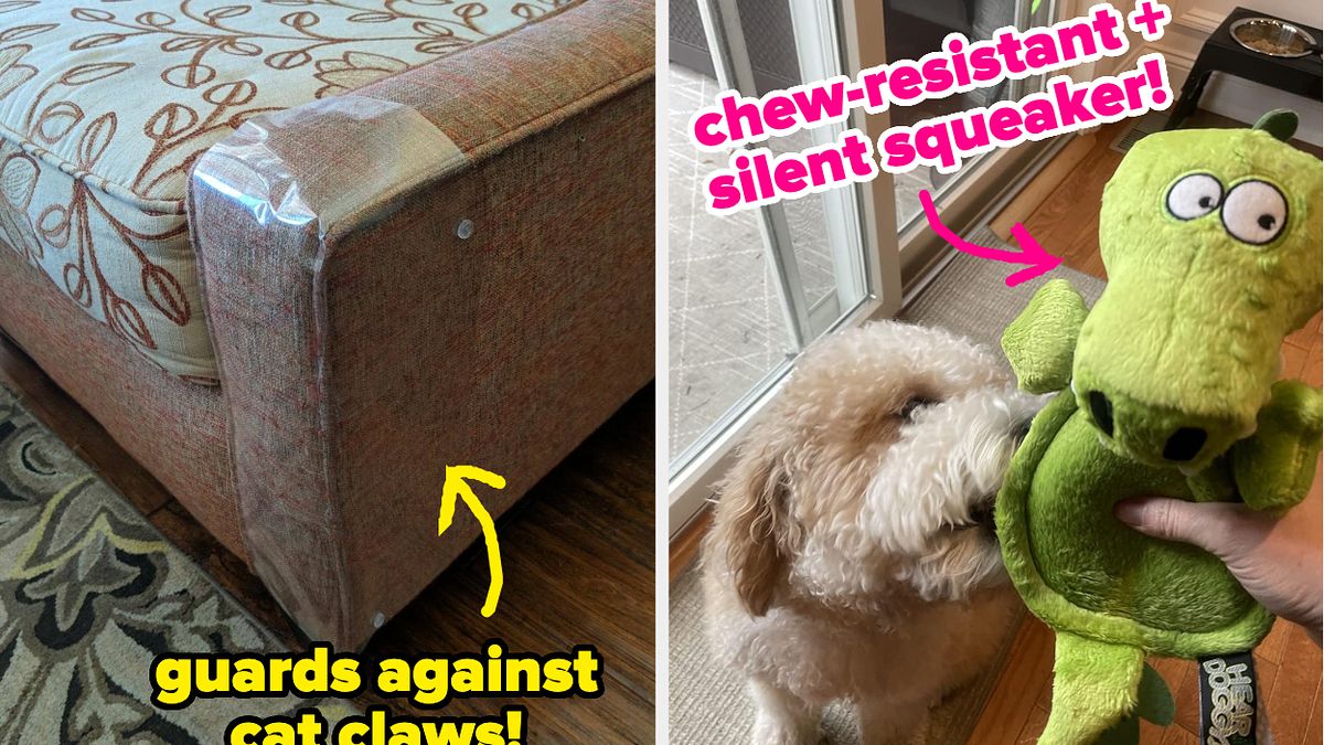 31 Pet Products For Chewing Scratching And More