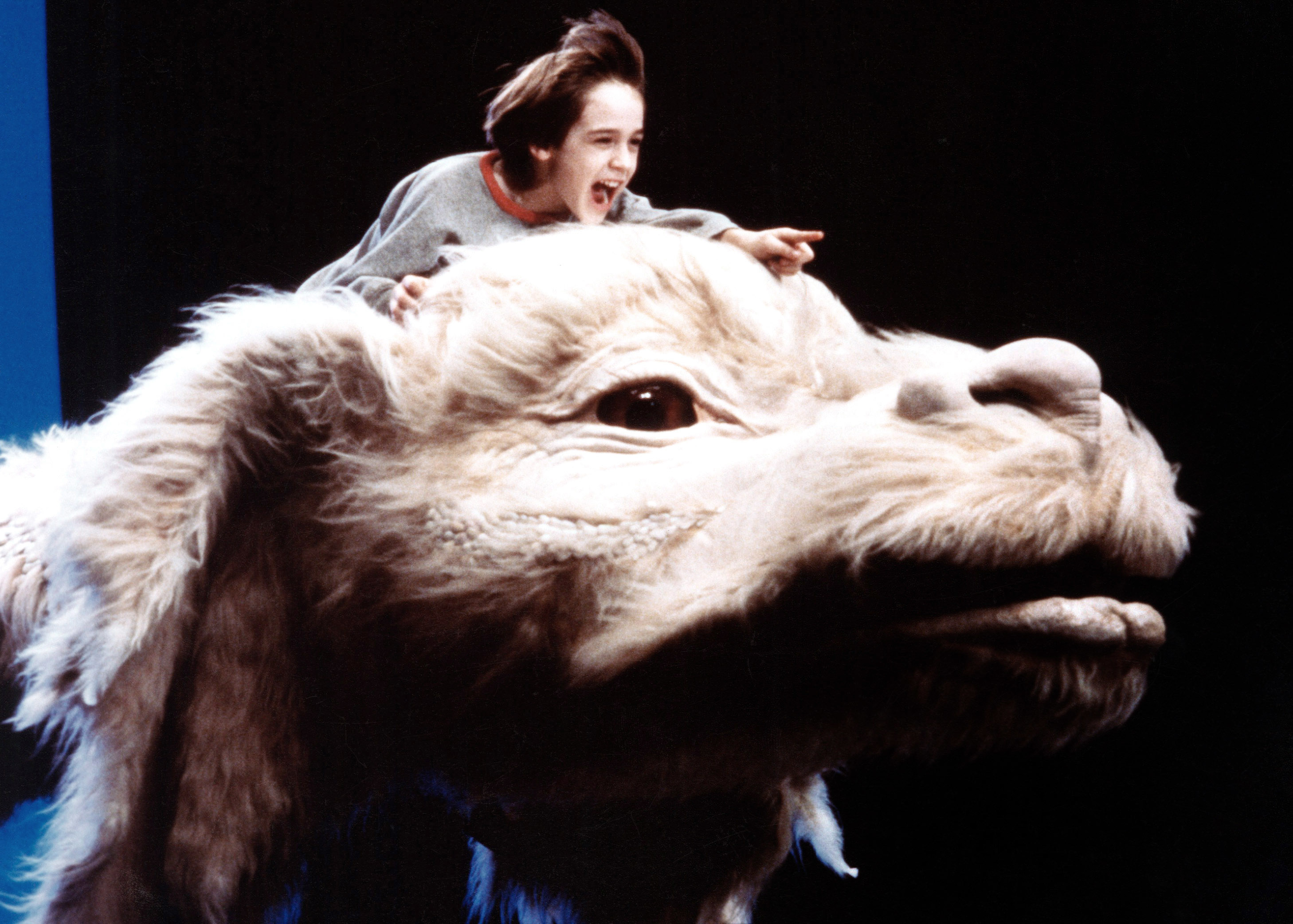 A young boy rides a large, friendly, white dragon-like creature with a joyful expression