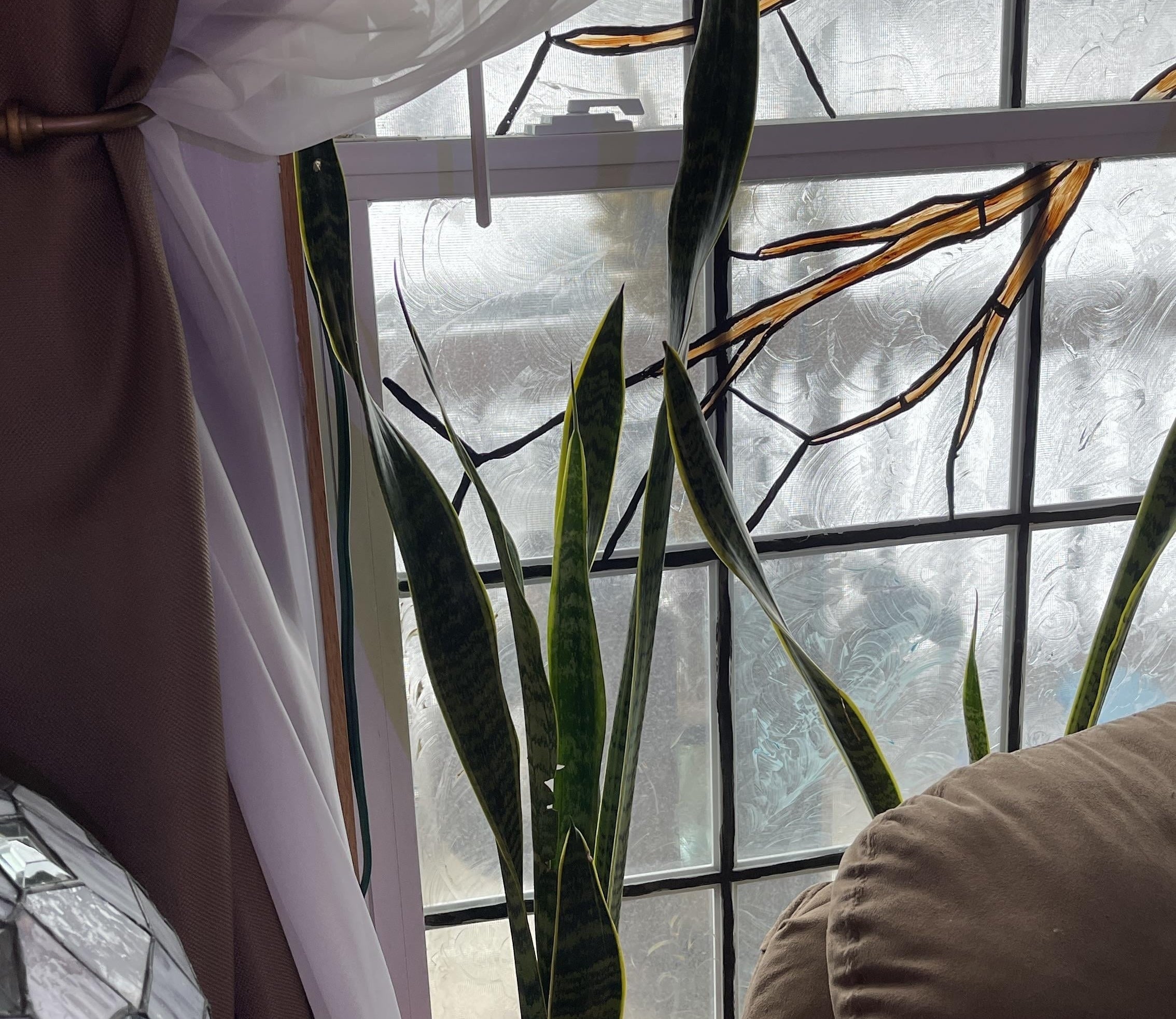 A potted plant sits on a windowsill adorned with privacy film made to look like stained glass