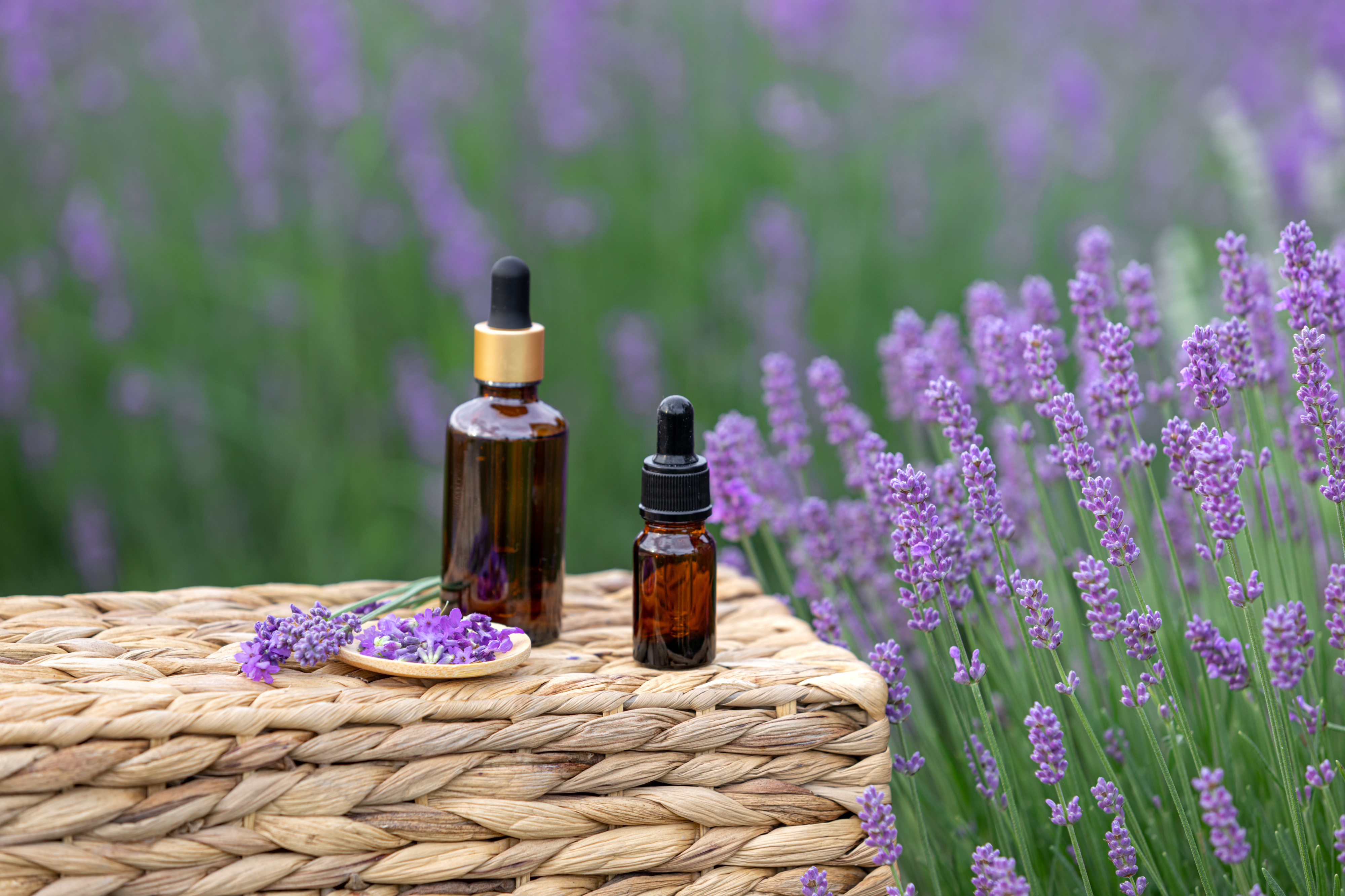 Two dropper bottles sit on a woven surface, surrounded by blooming lavender flowers, with some lavender on a spoon next to the bottles