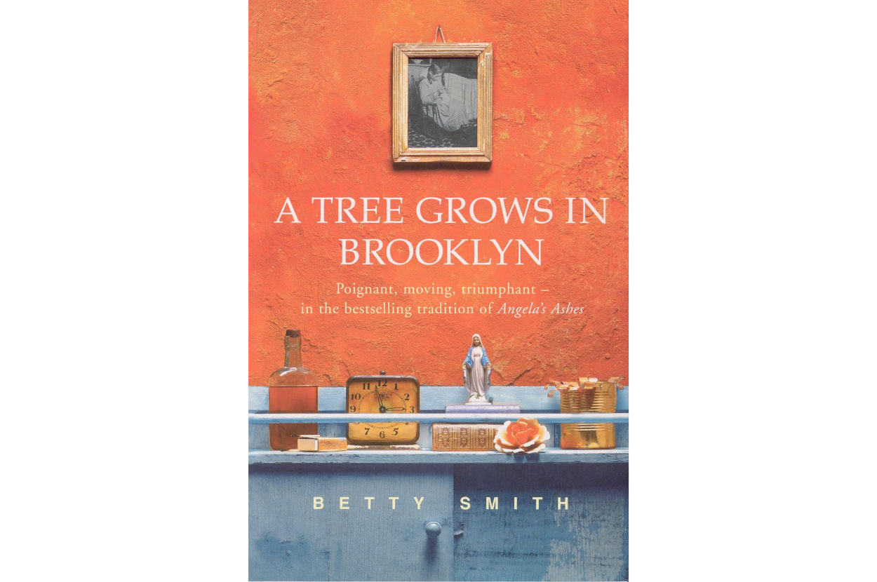 Cover of &quot;A Tree Grows in Brooklyn&quot; by Betty Smith showing a photo, shelves with objects, and the tagline: &quot;Poignant, moving, triumphant - in the best tradition of Angela's Ashes.&quot;