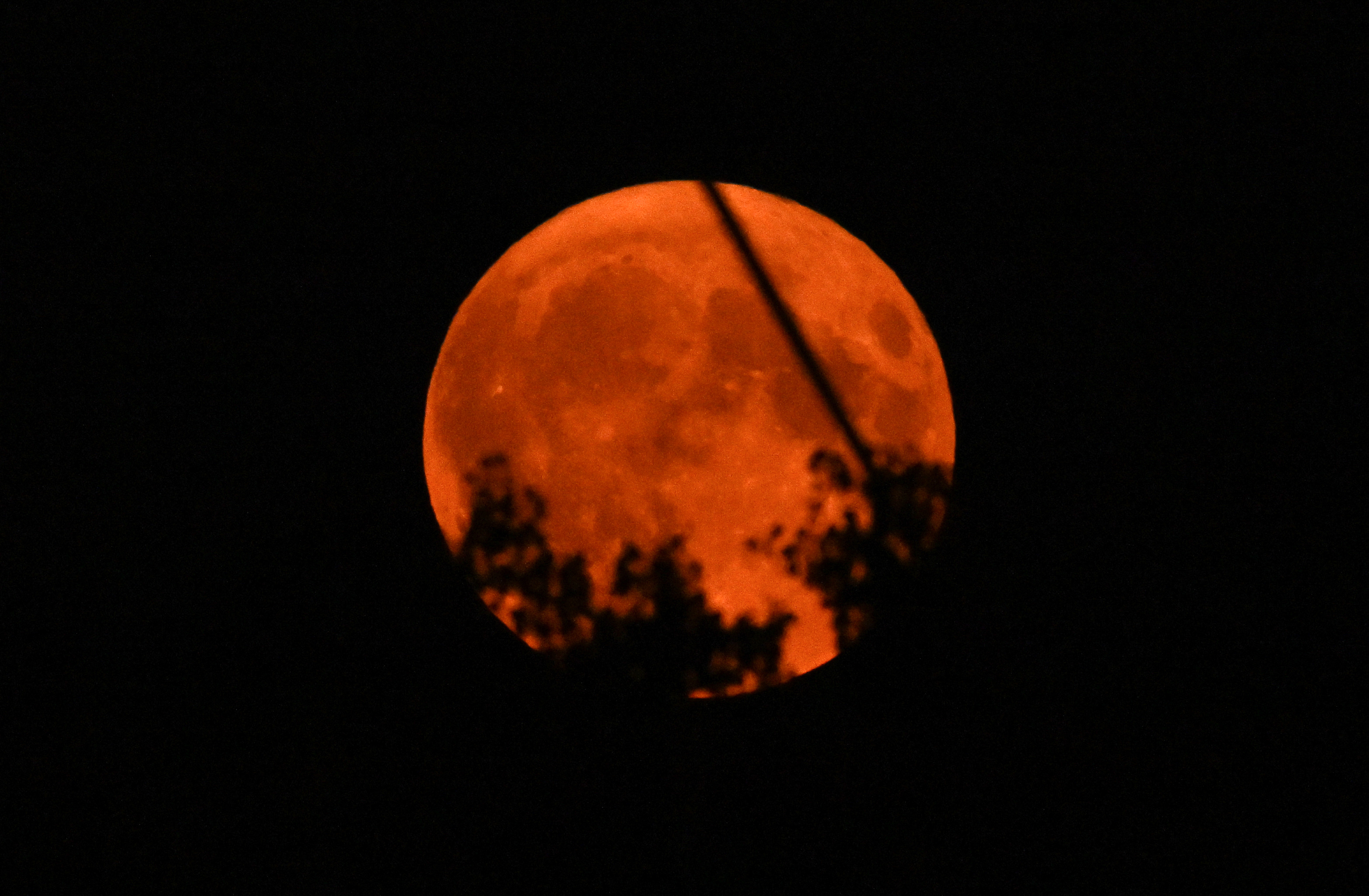 A large, orange-tinted full moon is visible in the night sky, partially obscured by tree branches in the foreground