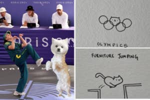 Athlete and fluffy dog perform a high kick while three judges watch, with two doodles: "Olympics" (circles and cat) and "Furniture Jumping" (cat jumping)