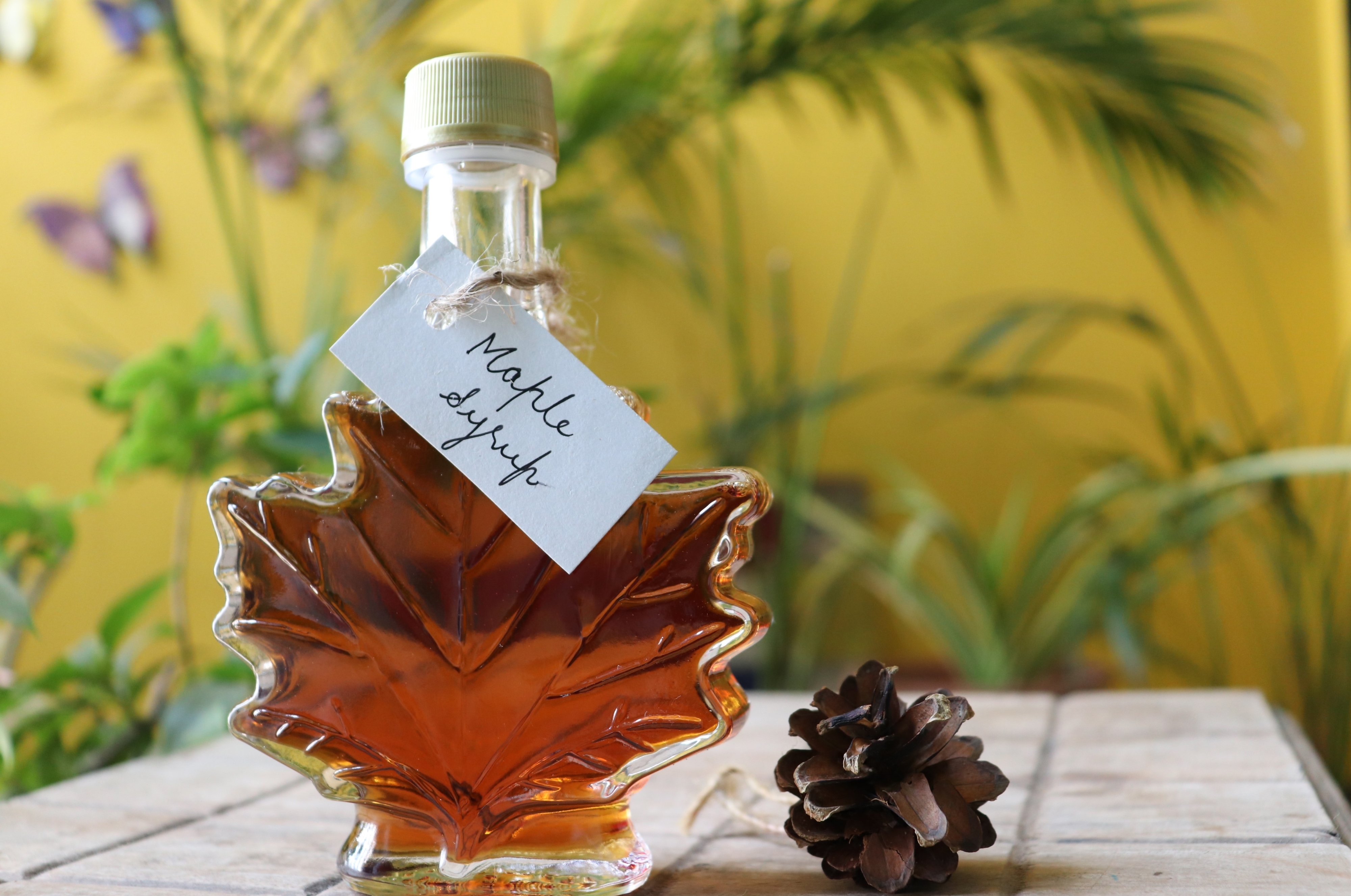 A bottle of maple syrup shaped like a maple leaf with a tag, placed on a table beside a pine cone. Plants and butterflies in the background