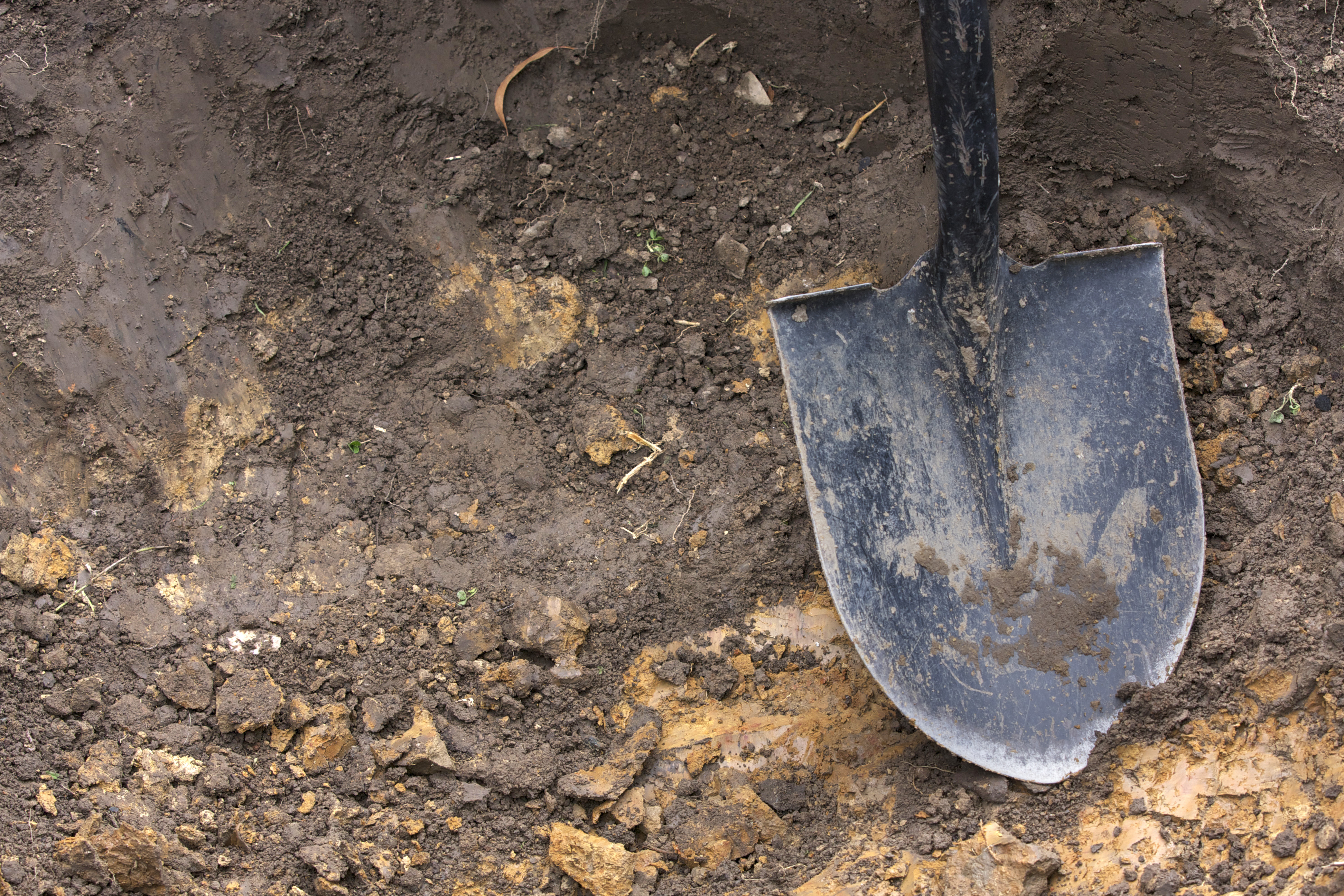 A dirt-covered shovel is laid down on a soil surface