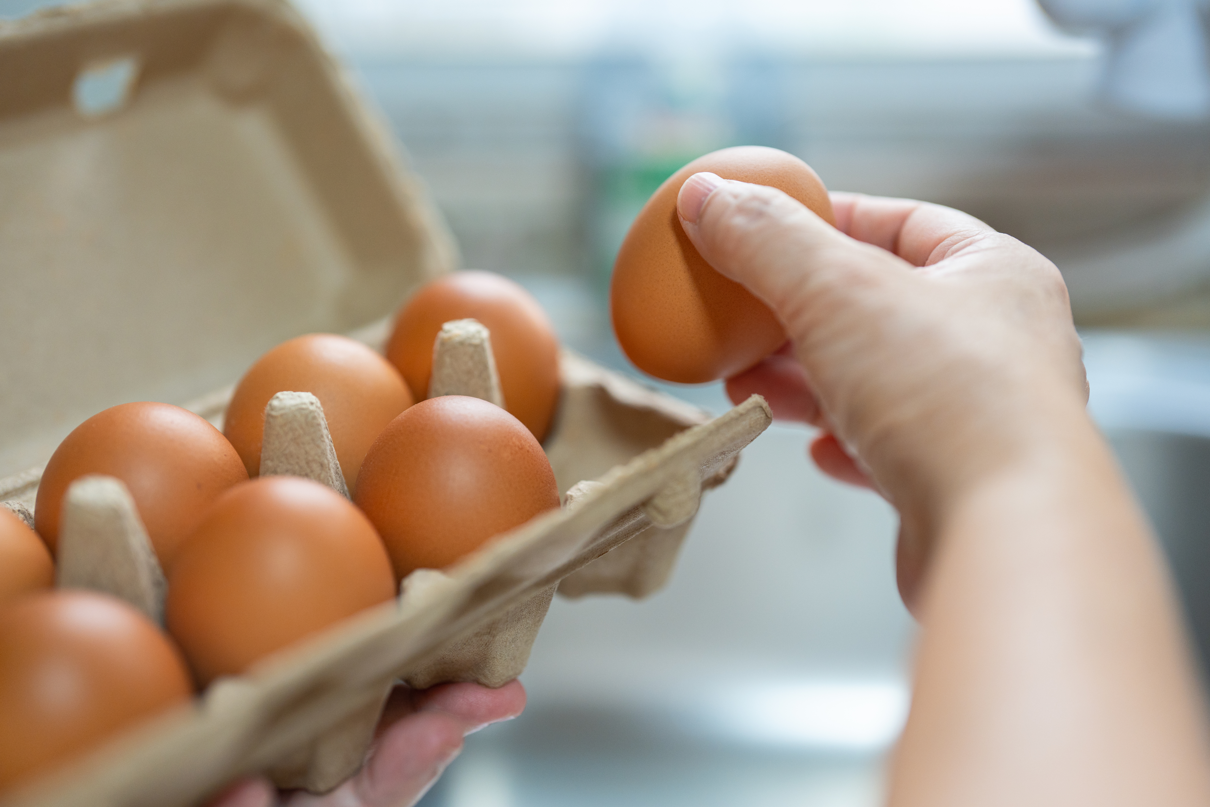 Close-up of a hand holding an egg above an open carton filled with brown eggs