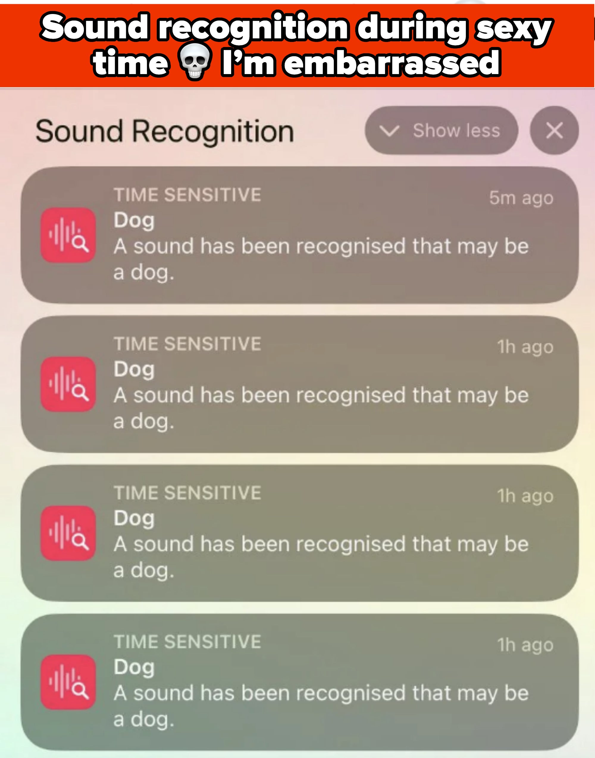 Phone screen showing multiple notifications from “TIME SENSITIVE” indicating "A sound has been recognised that may be a dog." Notifications are 1 hour and 5 minutes old