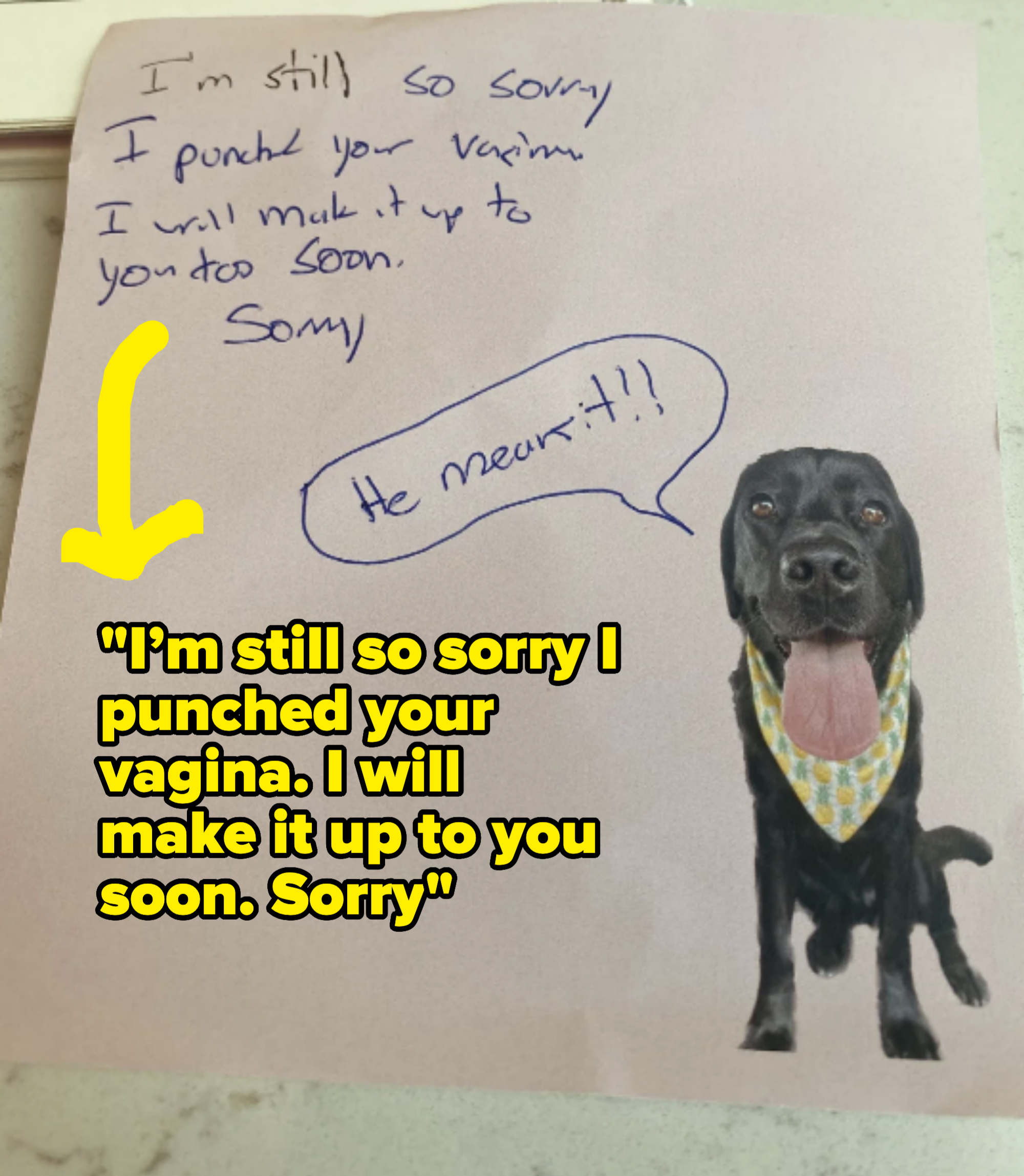A handwritten apology note reads, "I'm still so sorry I puked your vacuum. I will make it up to you too soon. Sorry." The note includes an image of a dog with a speech bubble saying, "He meant it!!"