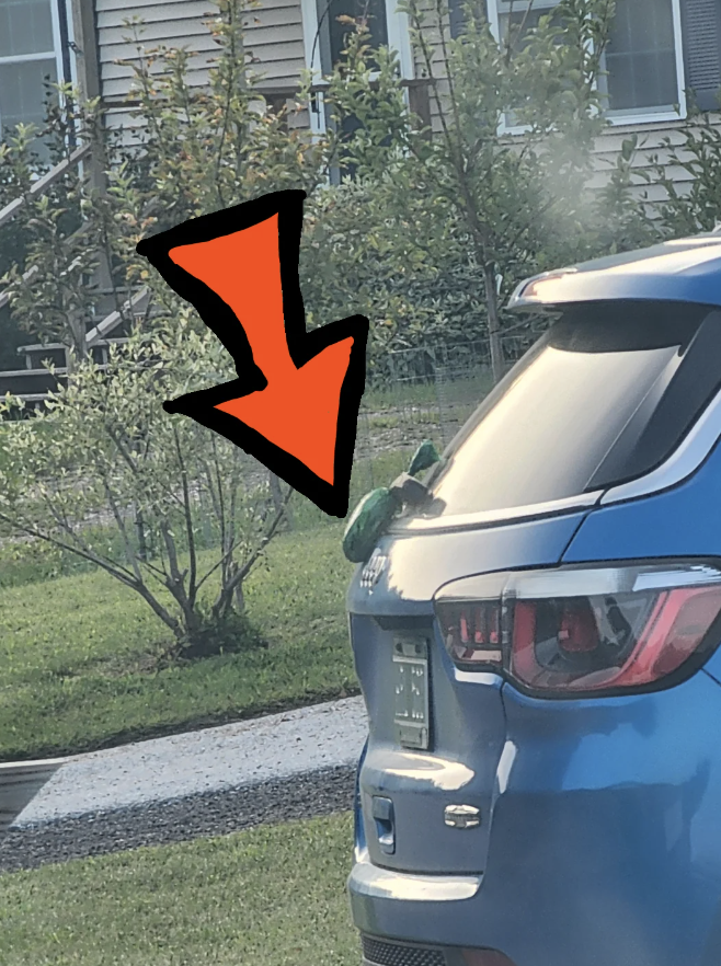 A green iguana rests on the rear of a blue SUV, pointed out by a large red arrow. The vehicle is parked in a residential area with a house and trees in the background