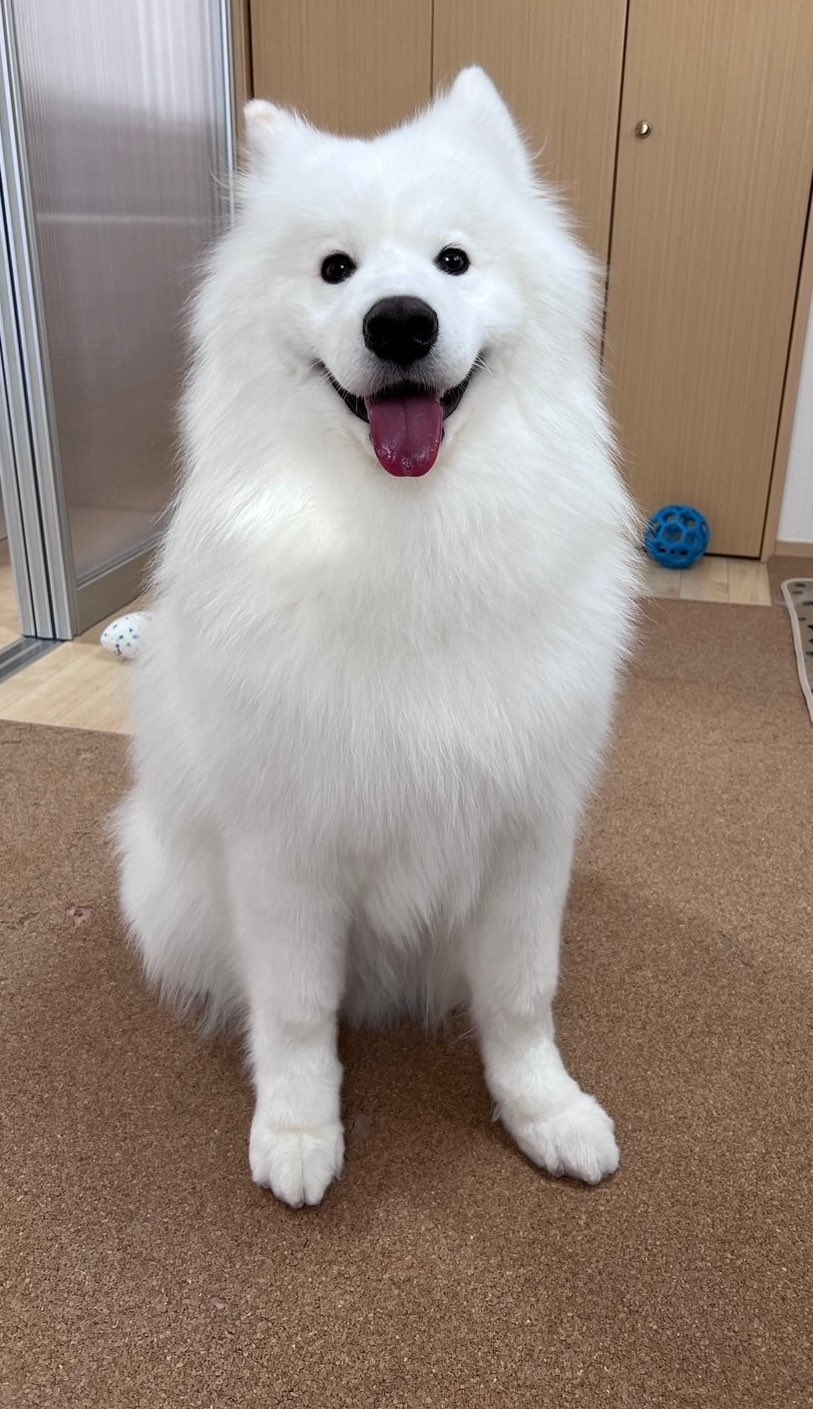 にこにこスマイルのダッツくん