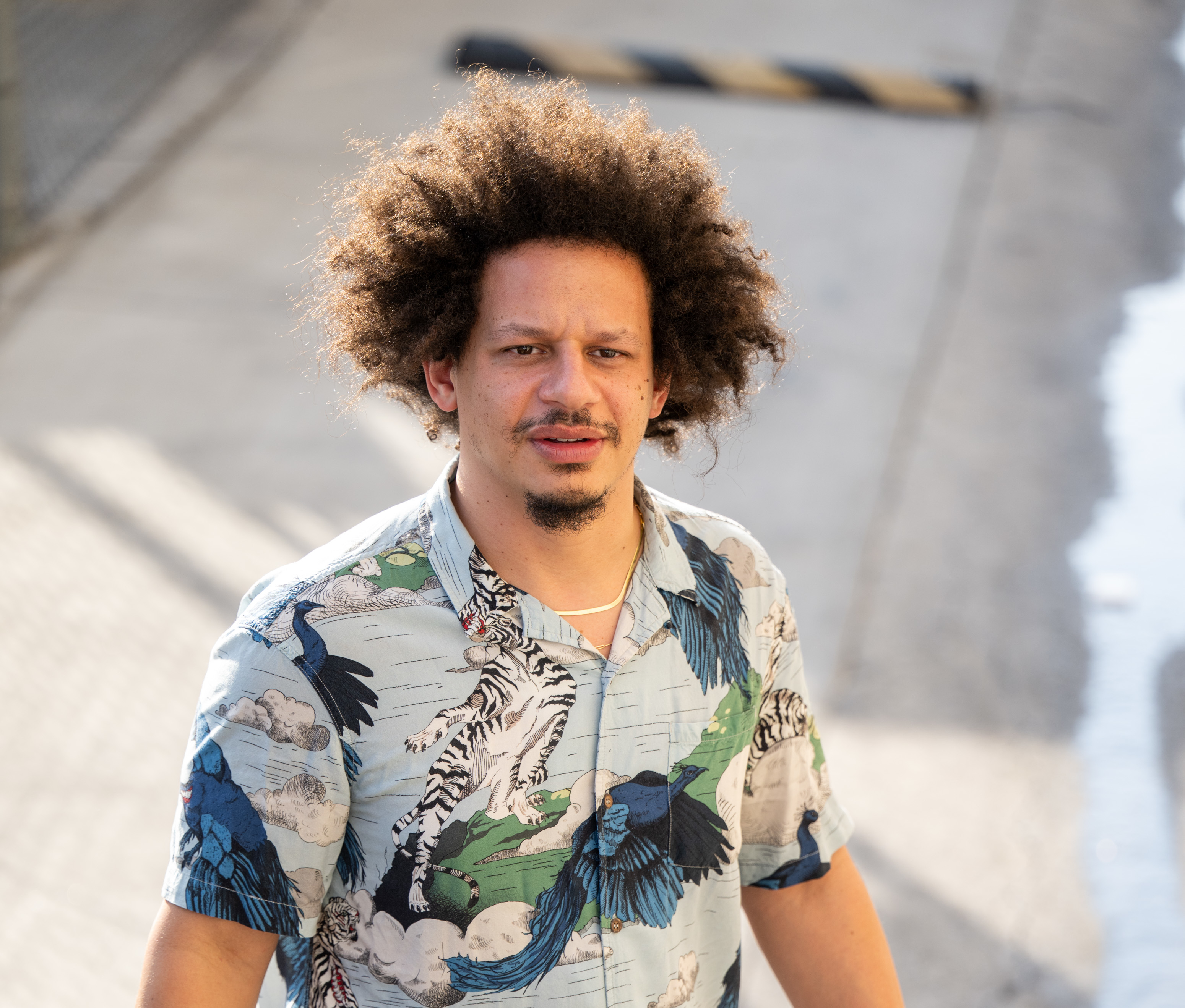 Eric André in a casual patterned shirt with birds and tigers