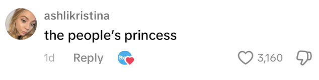 ashlikristina comments "the people's princess"