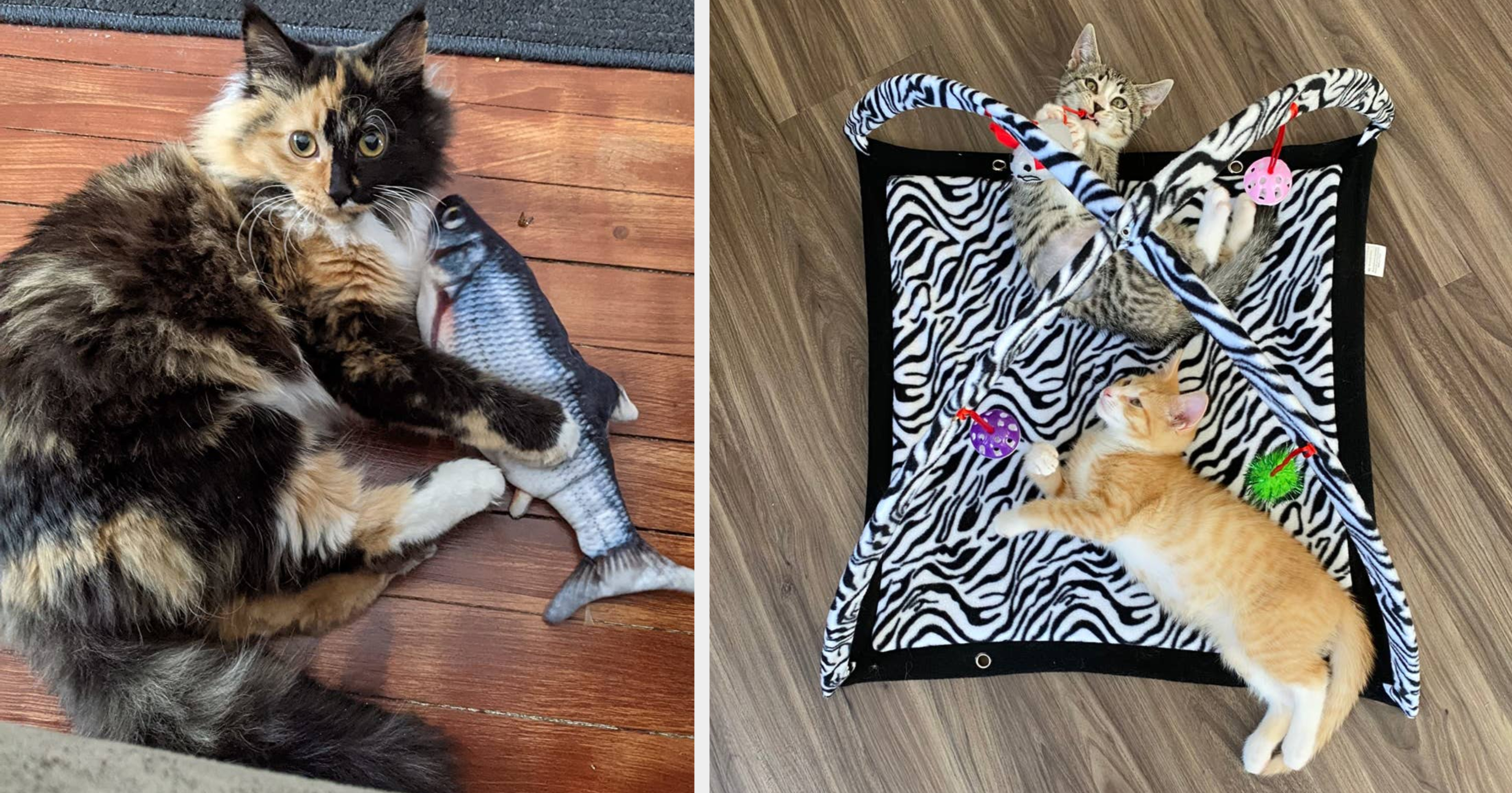 Just 20 Attention Grabbing Cat Toys