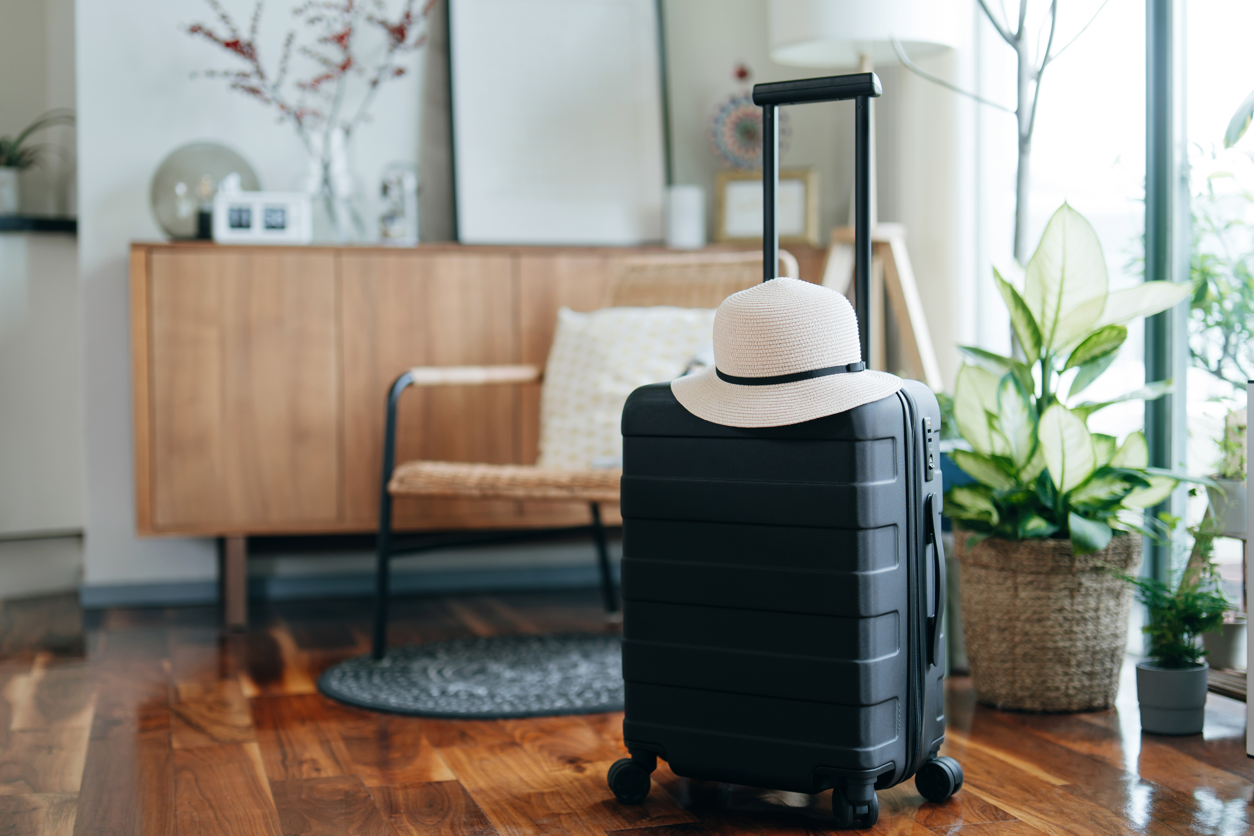 A black suitcase with a sun hat rests on top, placed in a modern living room with house plants and a woven chair