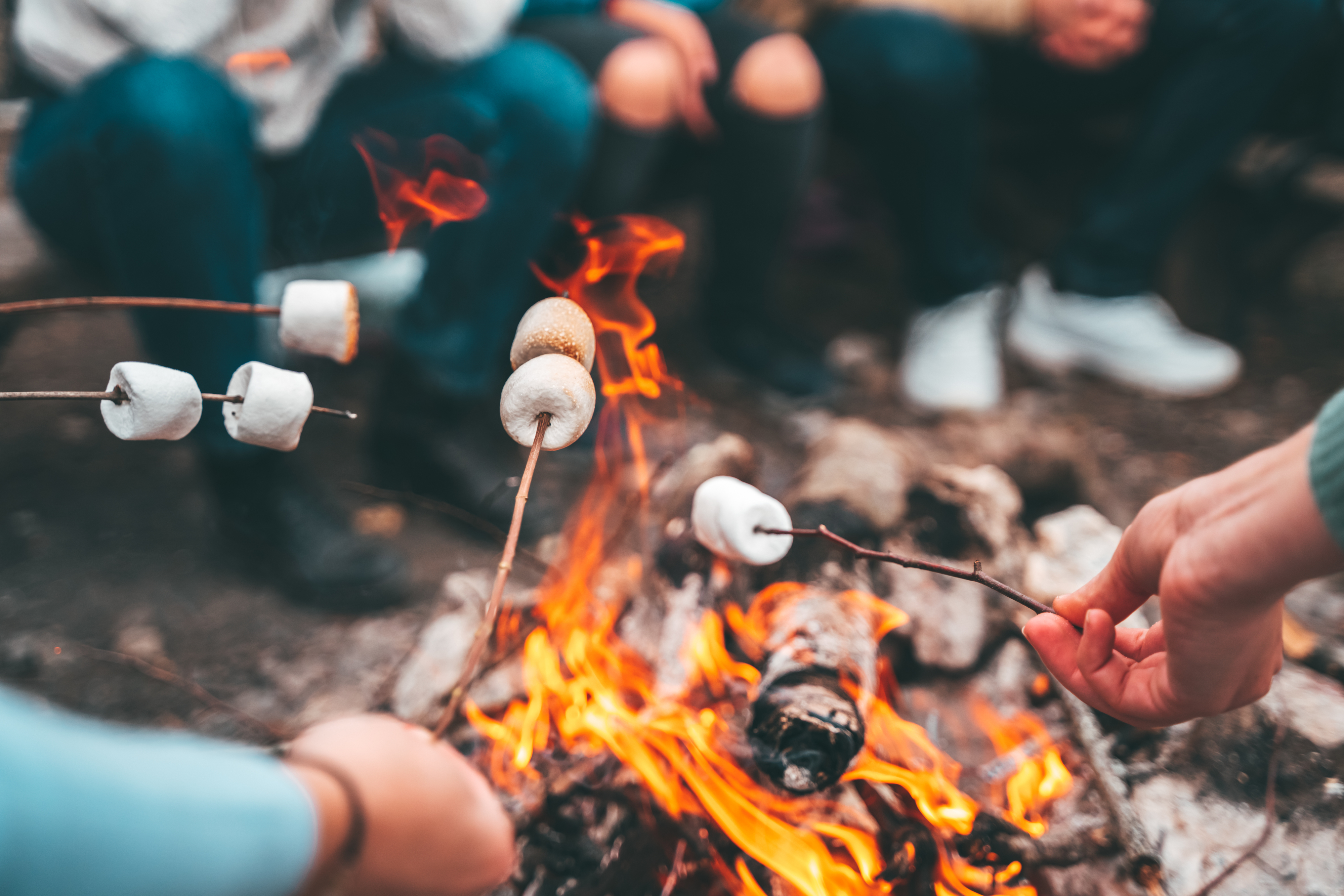 People roast marshmallows over a campfire