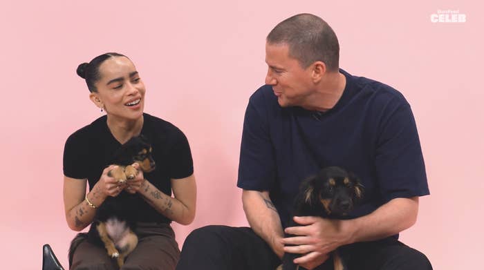 Zoë Kravitz and Channing Tatum sitting with small dogs on their laps, smiling at each other during a BuzzFeed Celeb interview