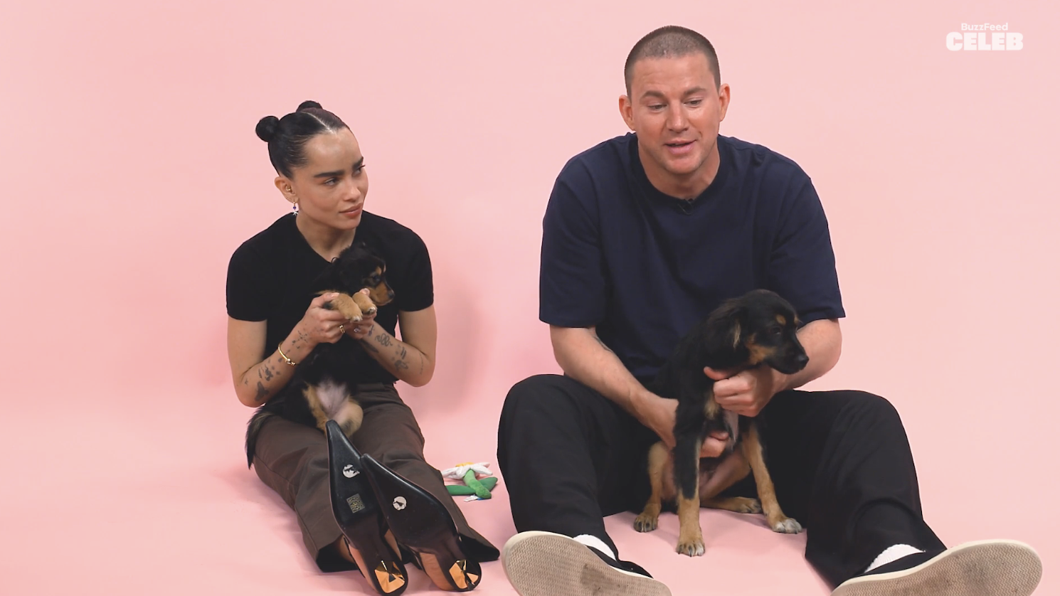 Zoë Kravitz and Channing Tatum sit on the floor holding small puppies, smiling and interacting with the dogs