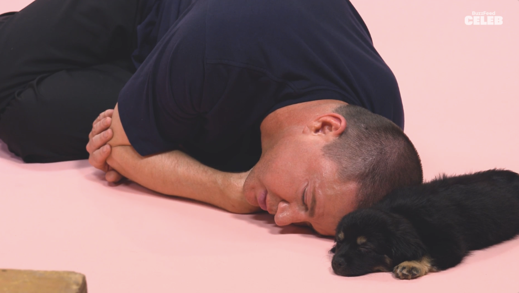 Man lying on the ground with his head resting next to a small black puppy. BuzzFeed Celeb branding visible in the top right corner