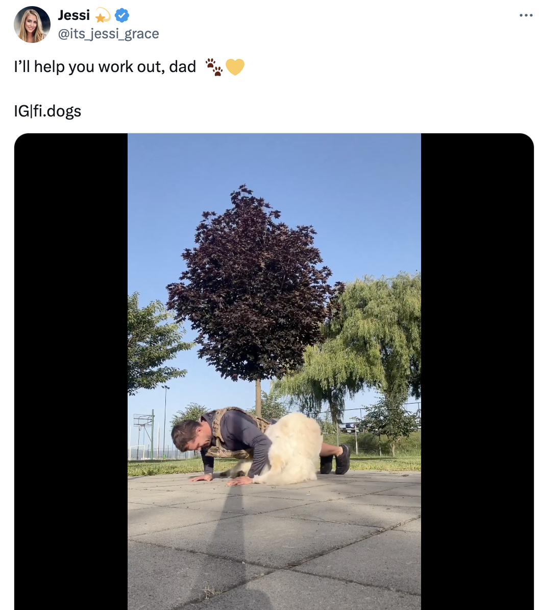 Jessi's dog places its paws on a man doing push-ups outdoors