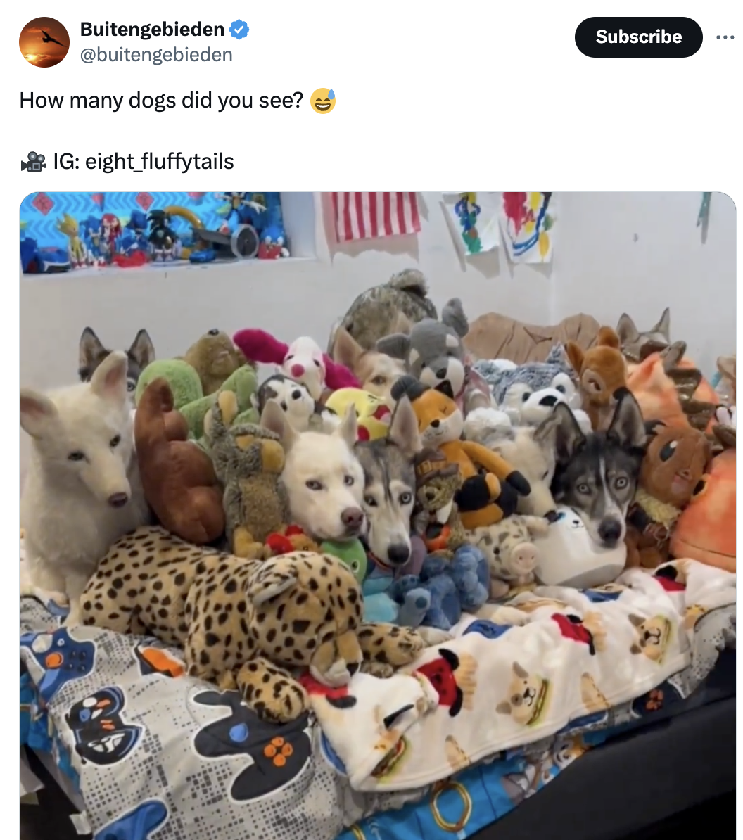 Four dogs are lying on a bed among stuffed animals, blending in. Text: How many dogs did you see