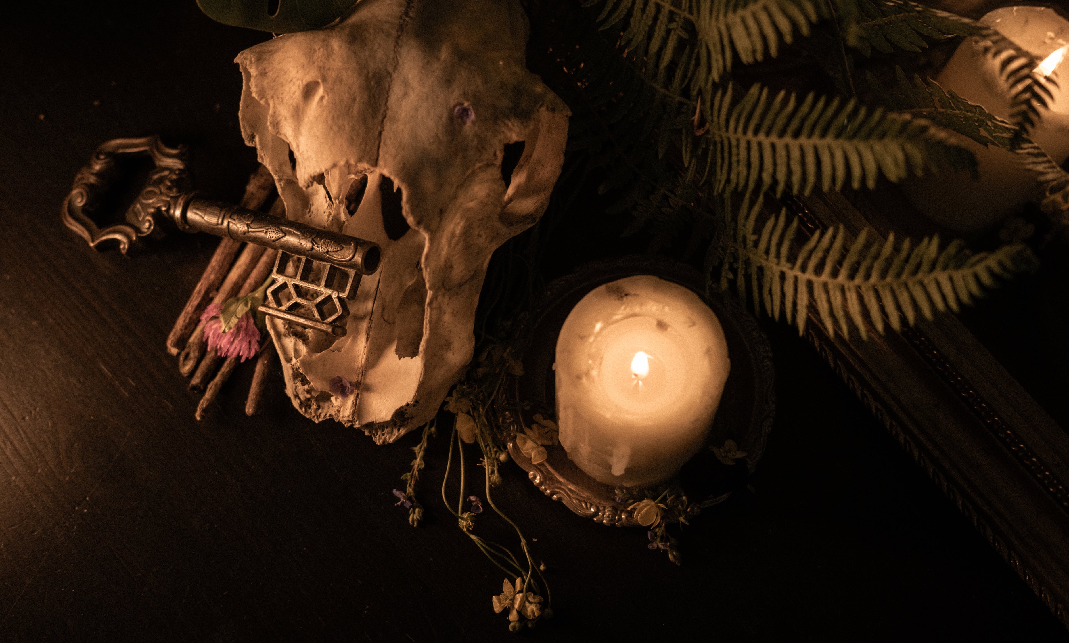 A dimly lit scene features a skull holding a key in its mouth, placed beside a lit candle and some greenery