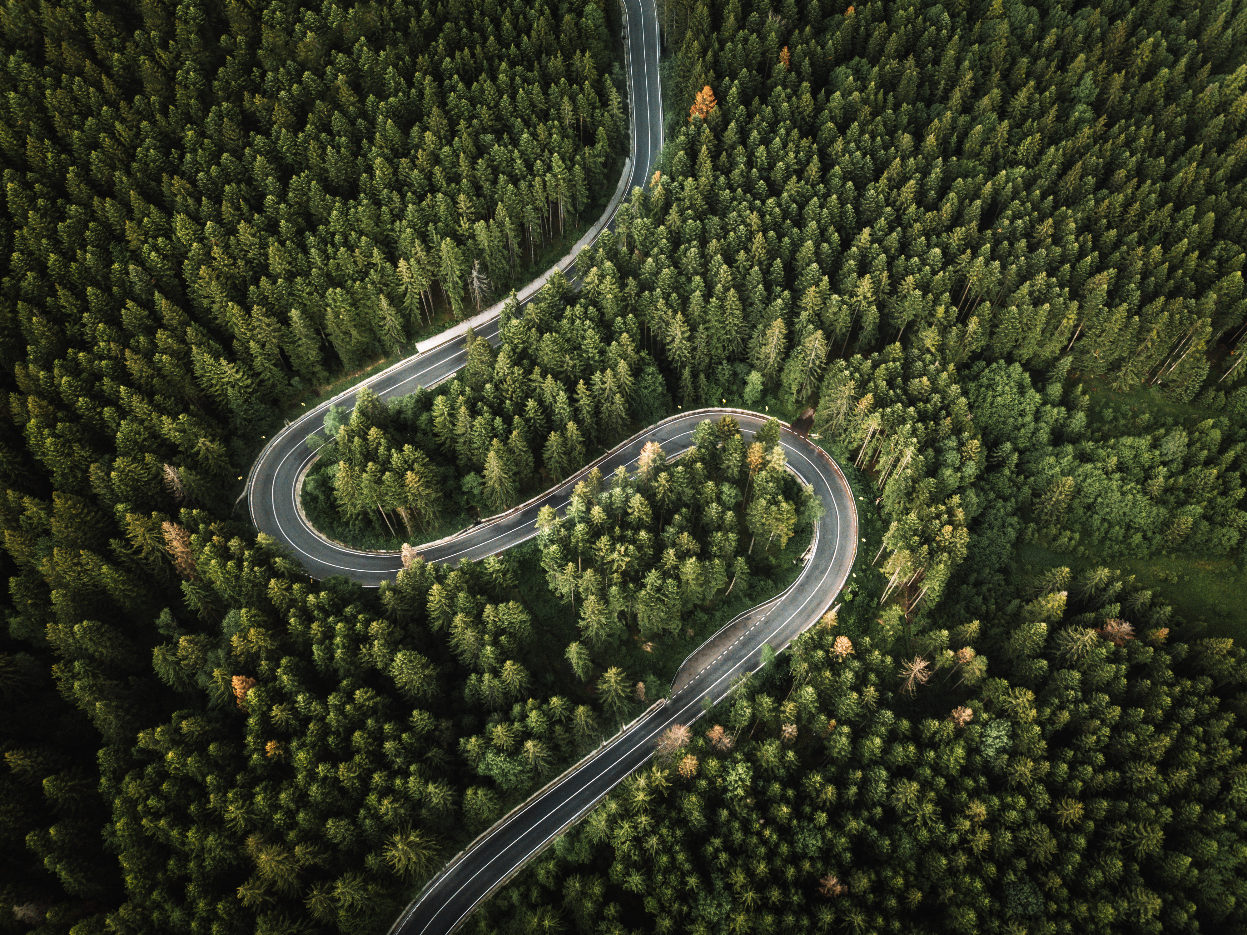 Aerial view of a winding road cutting through a dense forest. The road curves sharply, surrounded by tall trees