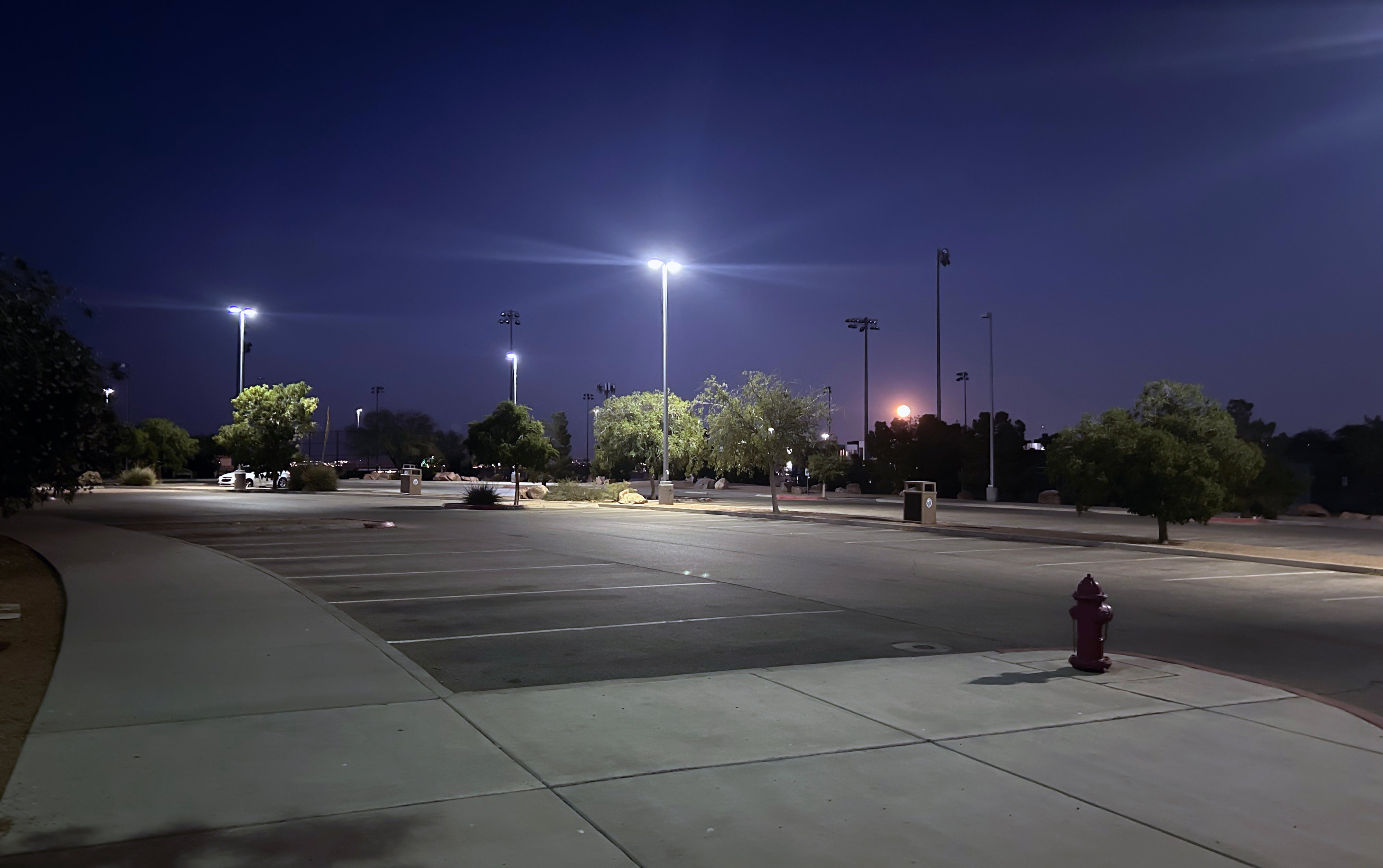A nearly empty parking lot at dusk, with streetlights on and a few trees and structures in the background