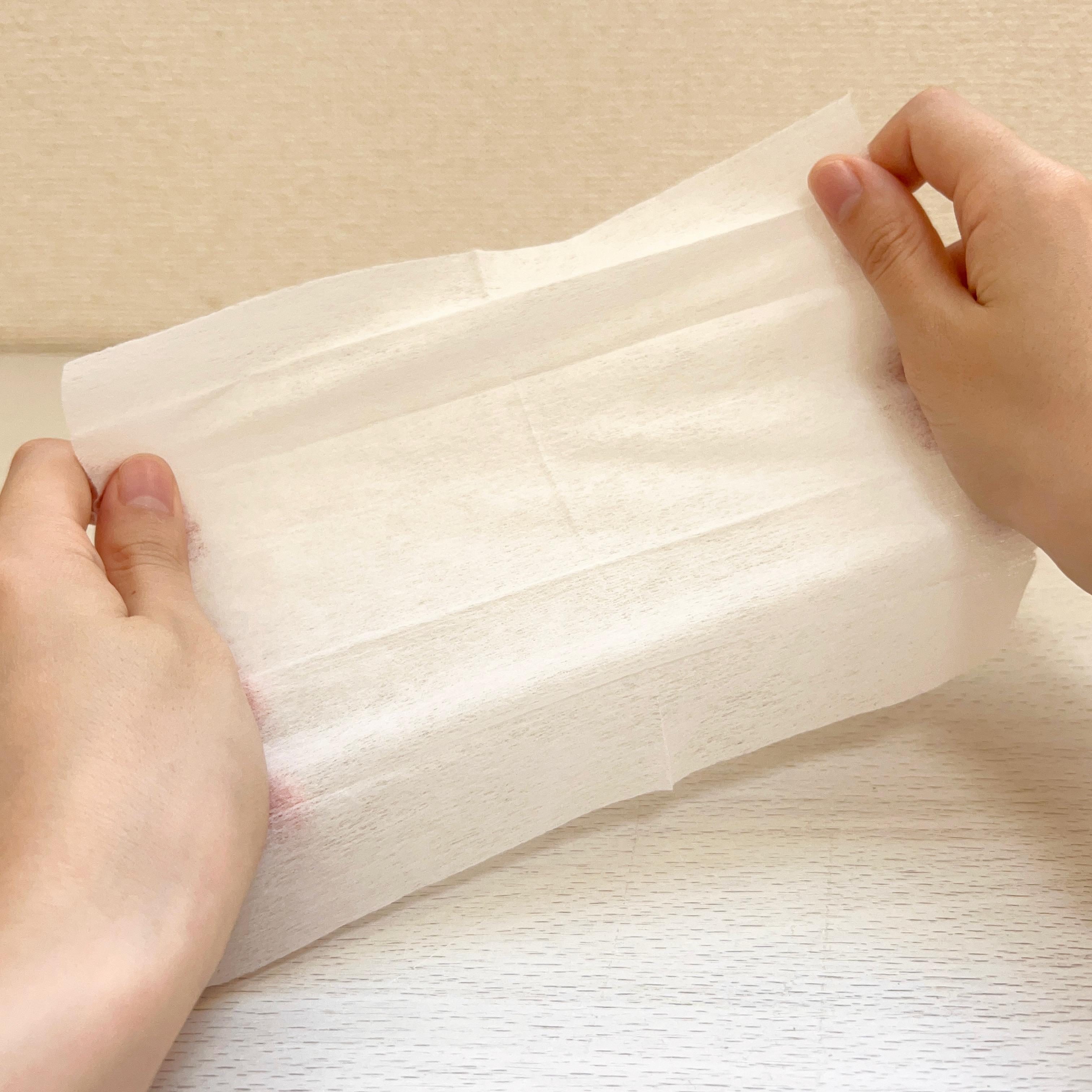 DAISO(ダイソー)の便利アイテム「靴専用クリーナー(ハンディタイプ、12枚×2パック)」