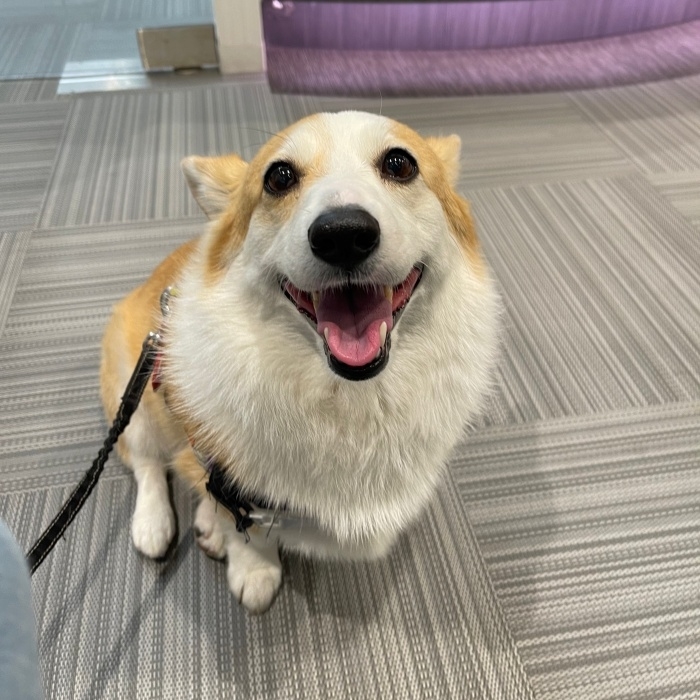 にっこり笑みを浮かべるつむぎちゃん