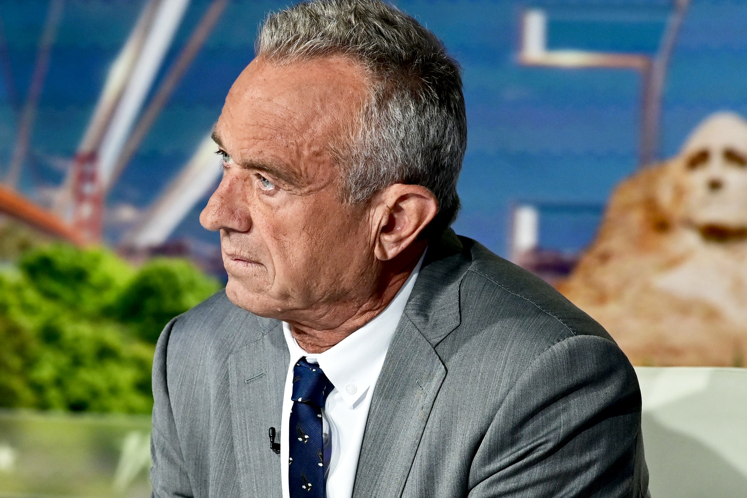 An older man in a gray suit and dark tie appears thoughtful in a studio setting with a nature-themed background