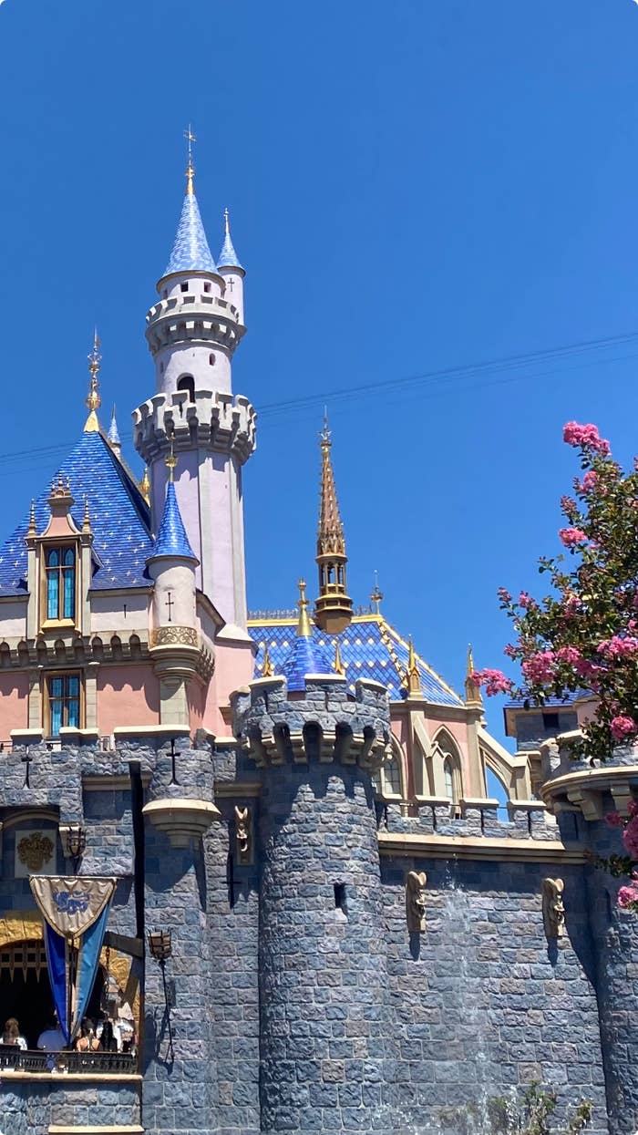 Disneyland castle with blue rooftops, visible spires, and blooming pink flowers in the foreground. No visible persons included