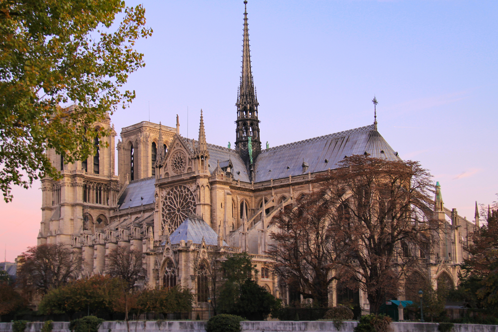 Notre Dame Cathedral with its Gothic architecture, tall spire, and intricate facade, set against a backdrop of trees and a twilight sky