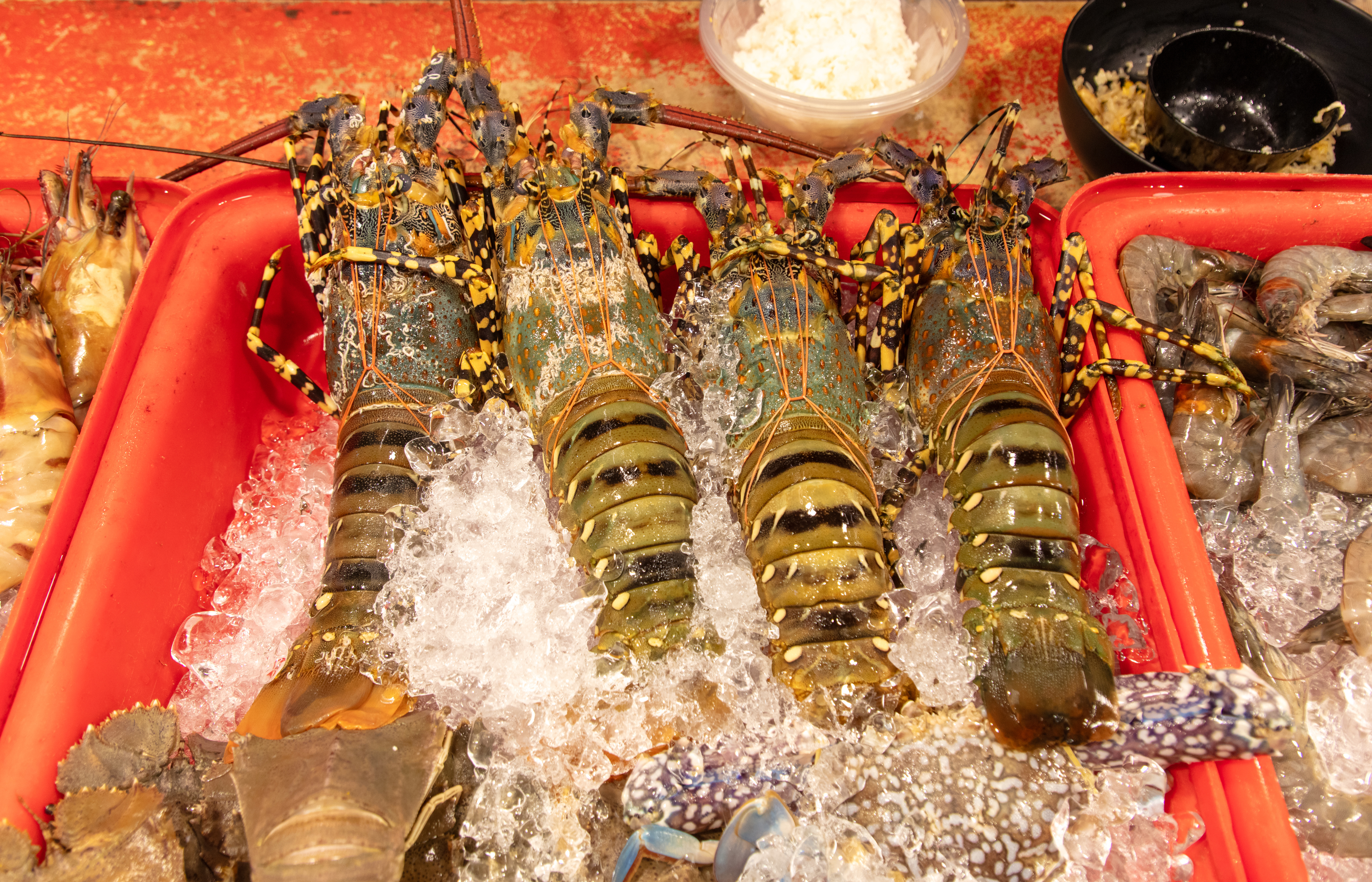 Fresh lobsters on ice at a seafood market